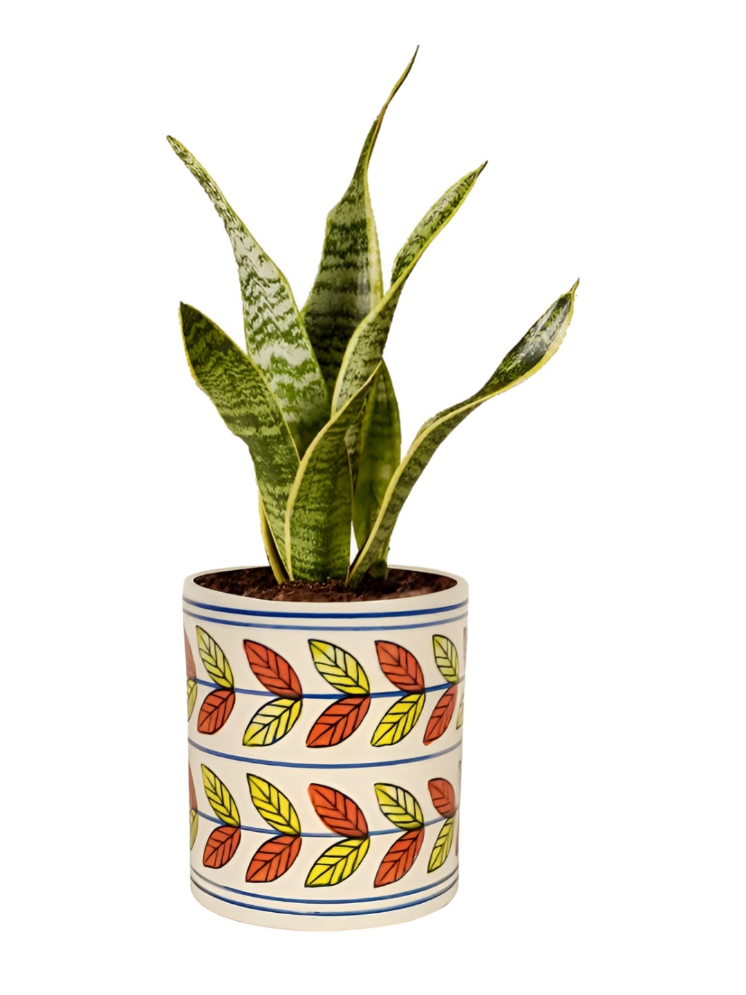 

LASAKI Yellow & Maroon Textured Ceramic Planter With Holder