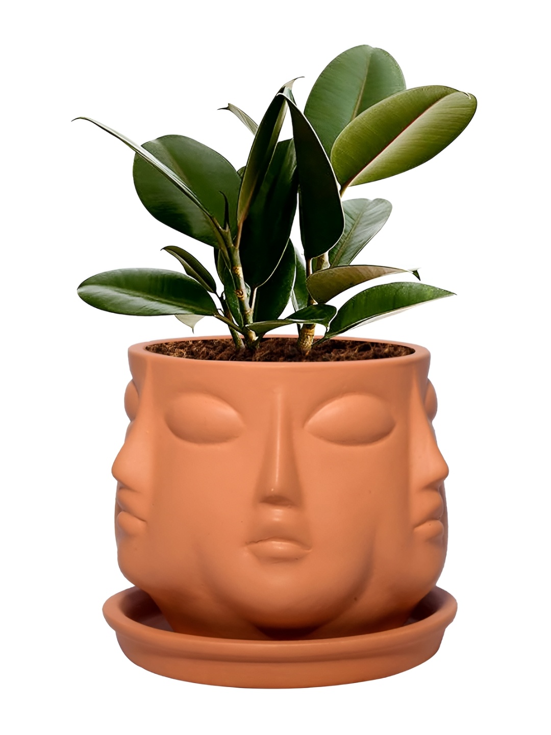 

LASAKI Vivan Bronze Textured Ceramic Planter With Holder