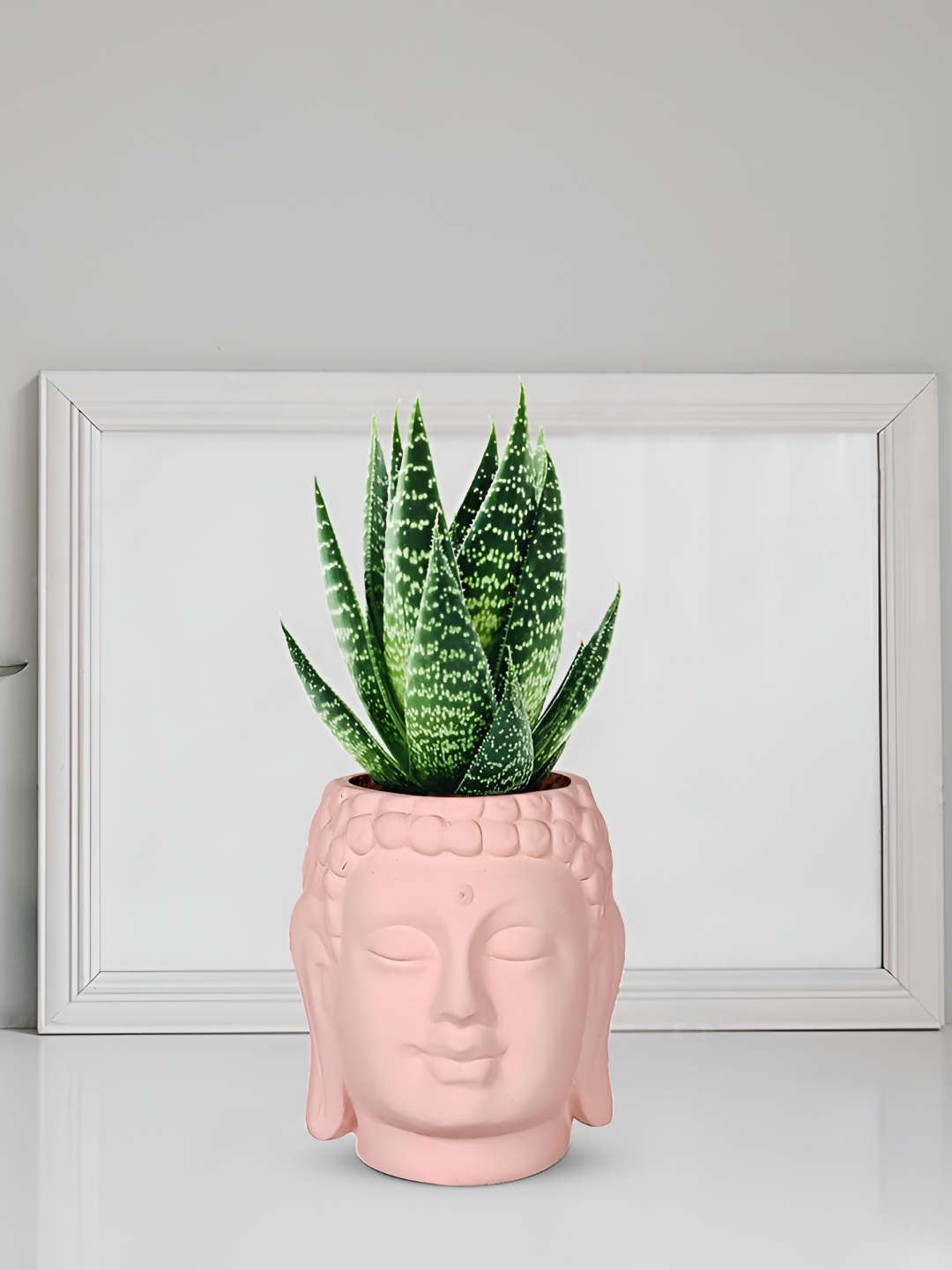 

LASAKI Pink Textured Ceramic Planter With Holder