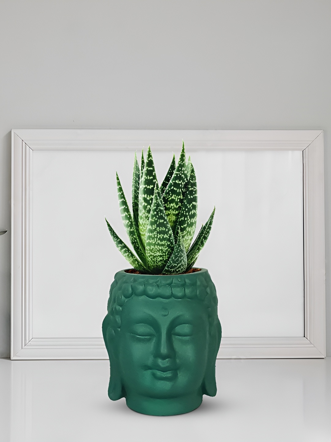 

LASAKI Green Textured Ceramic Planter Holder