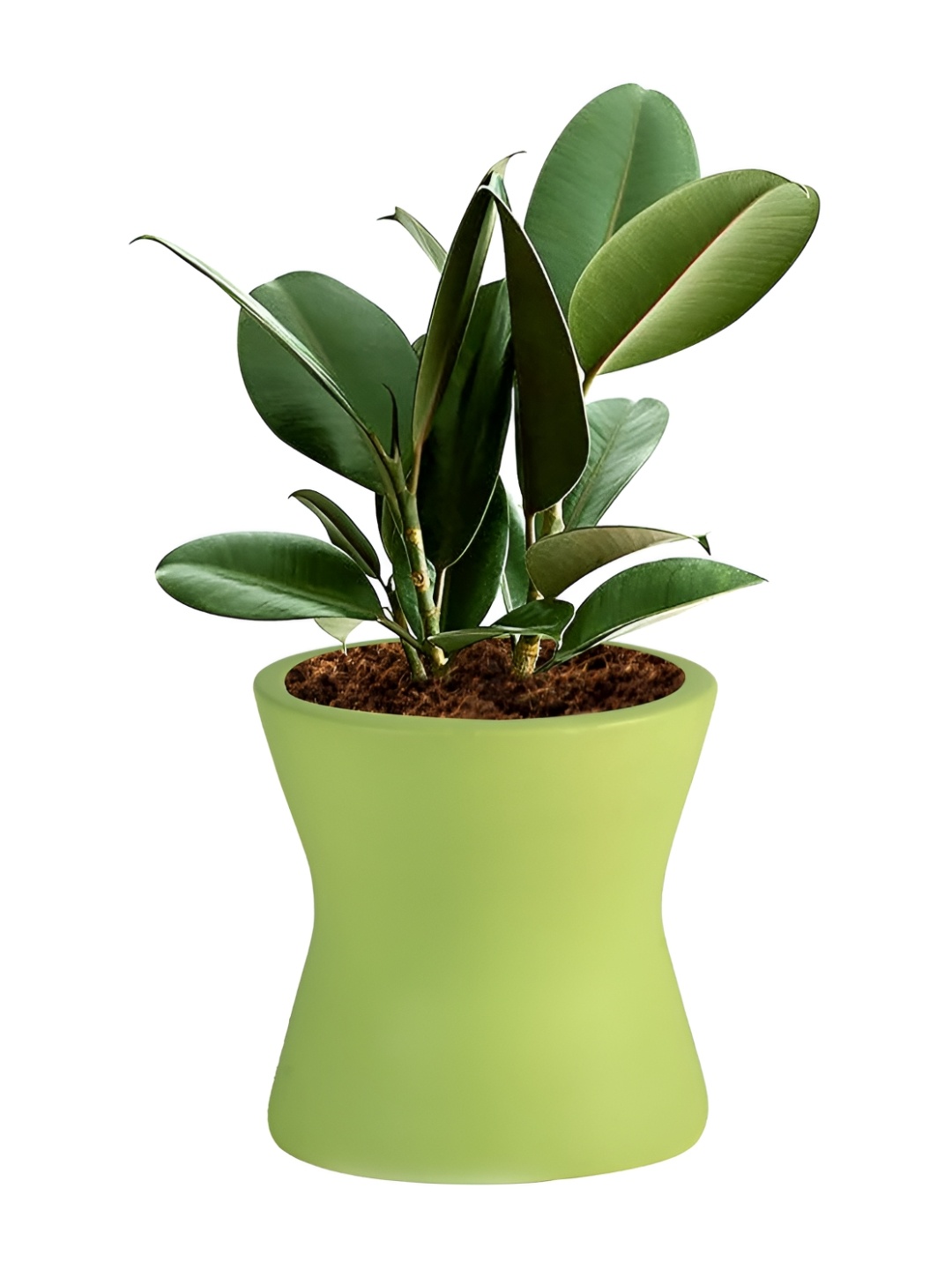 

LASAKI Damru Lime Green Ceramic Planter