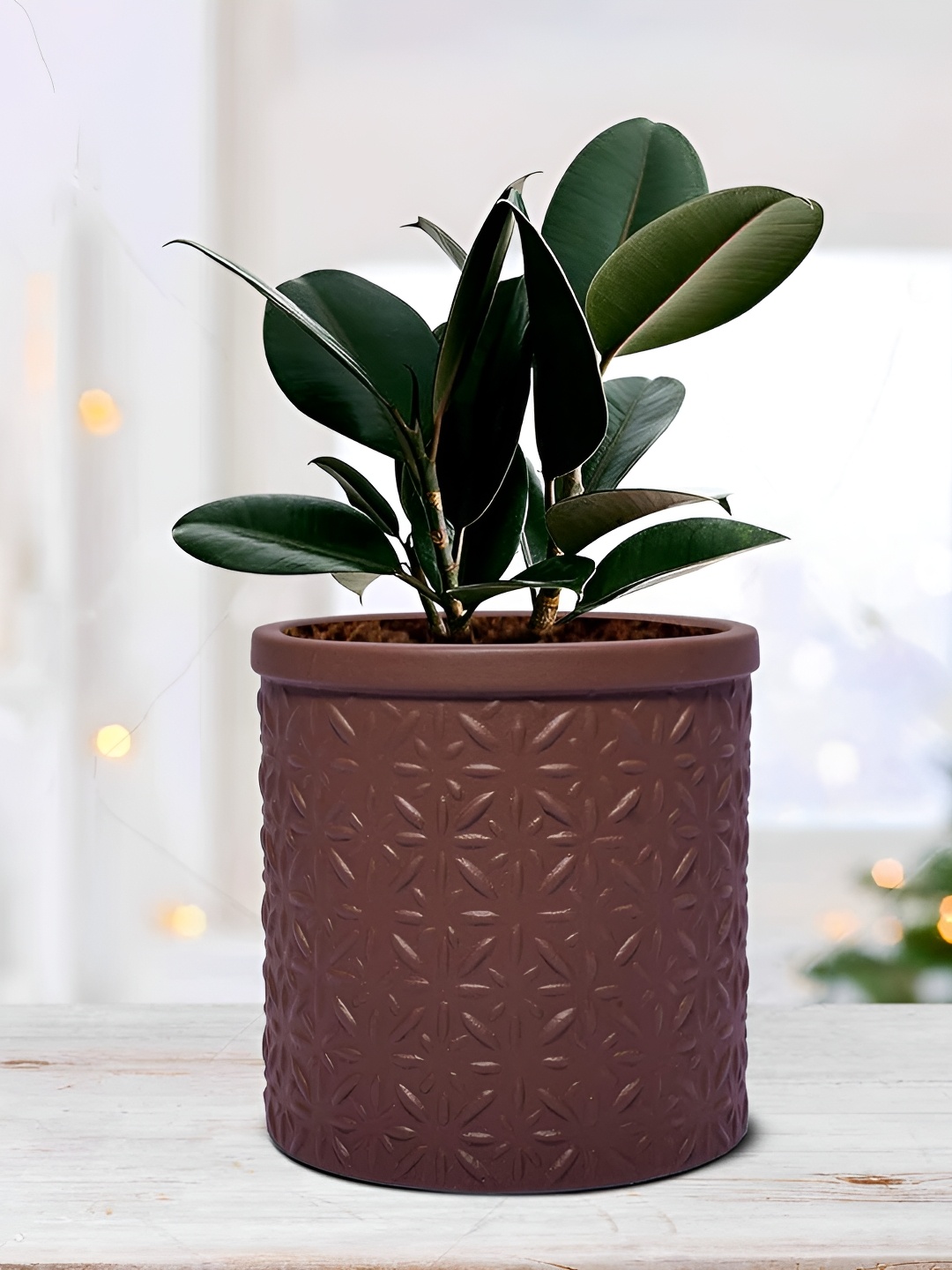 

LASAKI Brown Textured Ceramic Planter With Holder