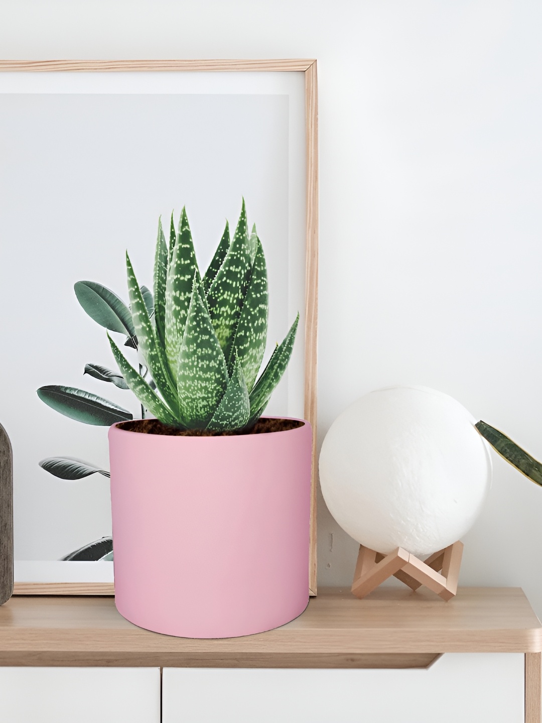 

LASAKI Sara Pink Cylindrical Ceramic Planters