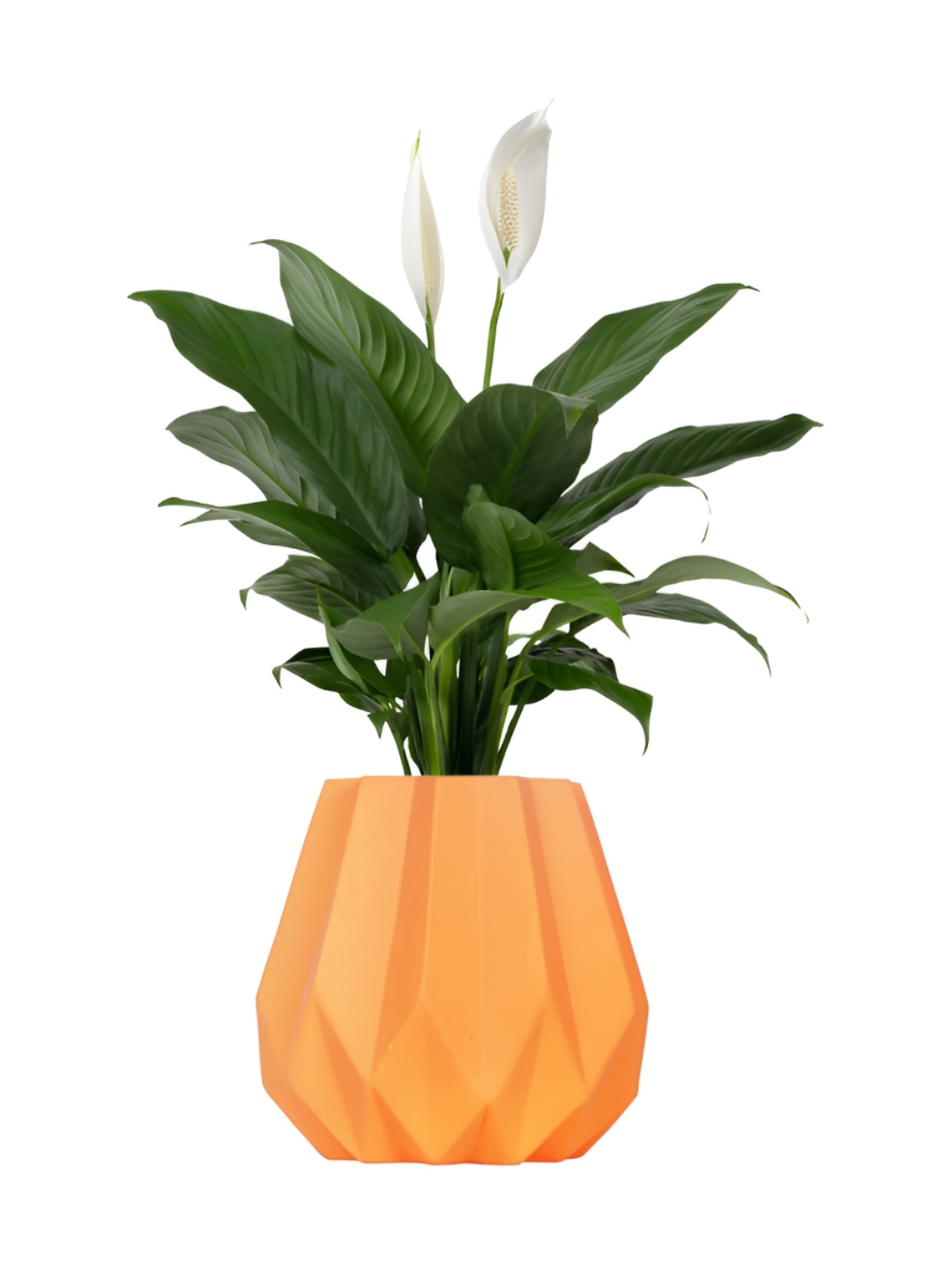 

LASAKI Izzy Lily Orange Textured Ceramic Planter