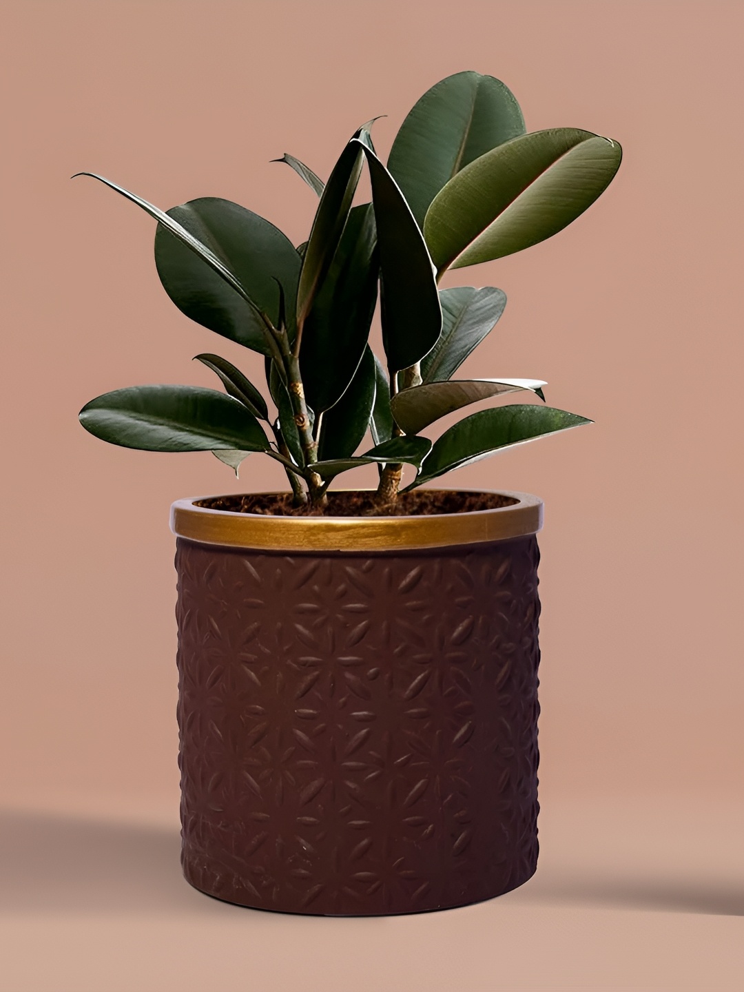 

LASAKI Gloria Brown Textured Ceramic Planters, Copper