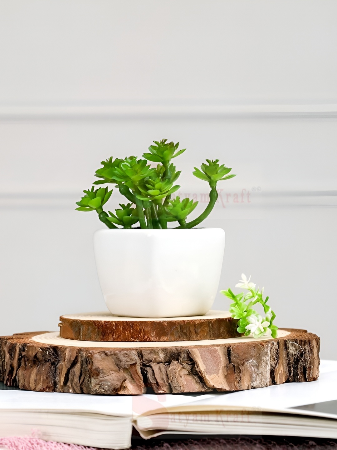 

Satyam Kraft Green Succulent Artificial Mini Plants with Ceramic Cement Pot