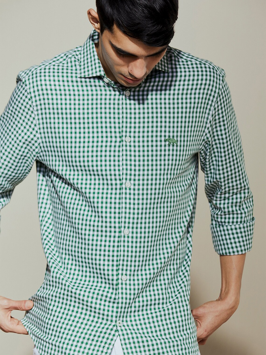 

Andamen Premium Micro Checked Spread Collar Cotton Bamboo Shirt, Green