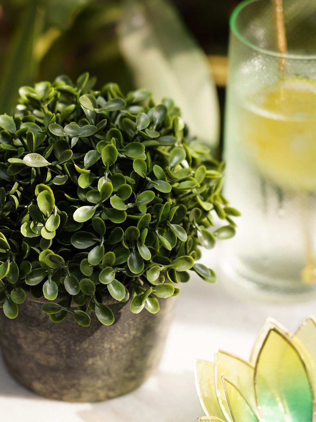 

Pure Home and Living Unisex Green Artificial Flowers and Plants