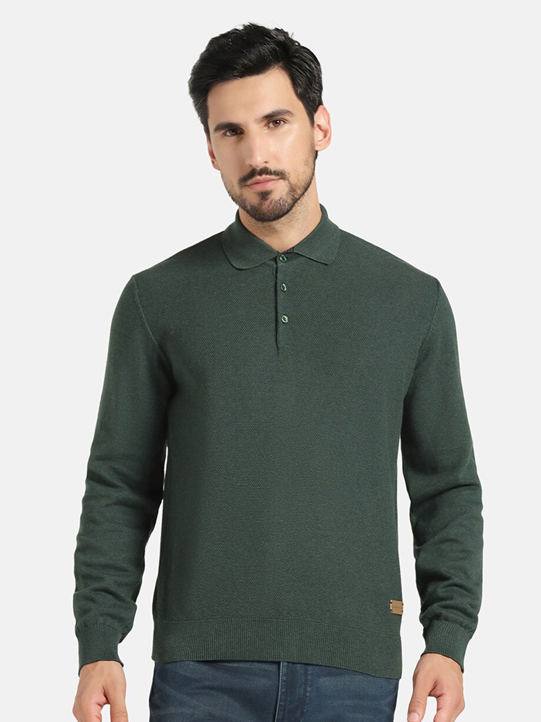 

Blackberrys Shirt Collar Long Sleeves Knit Cotton Pullover Sweater, Green