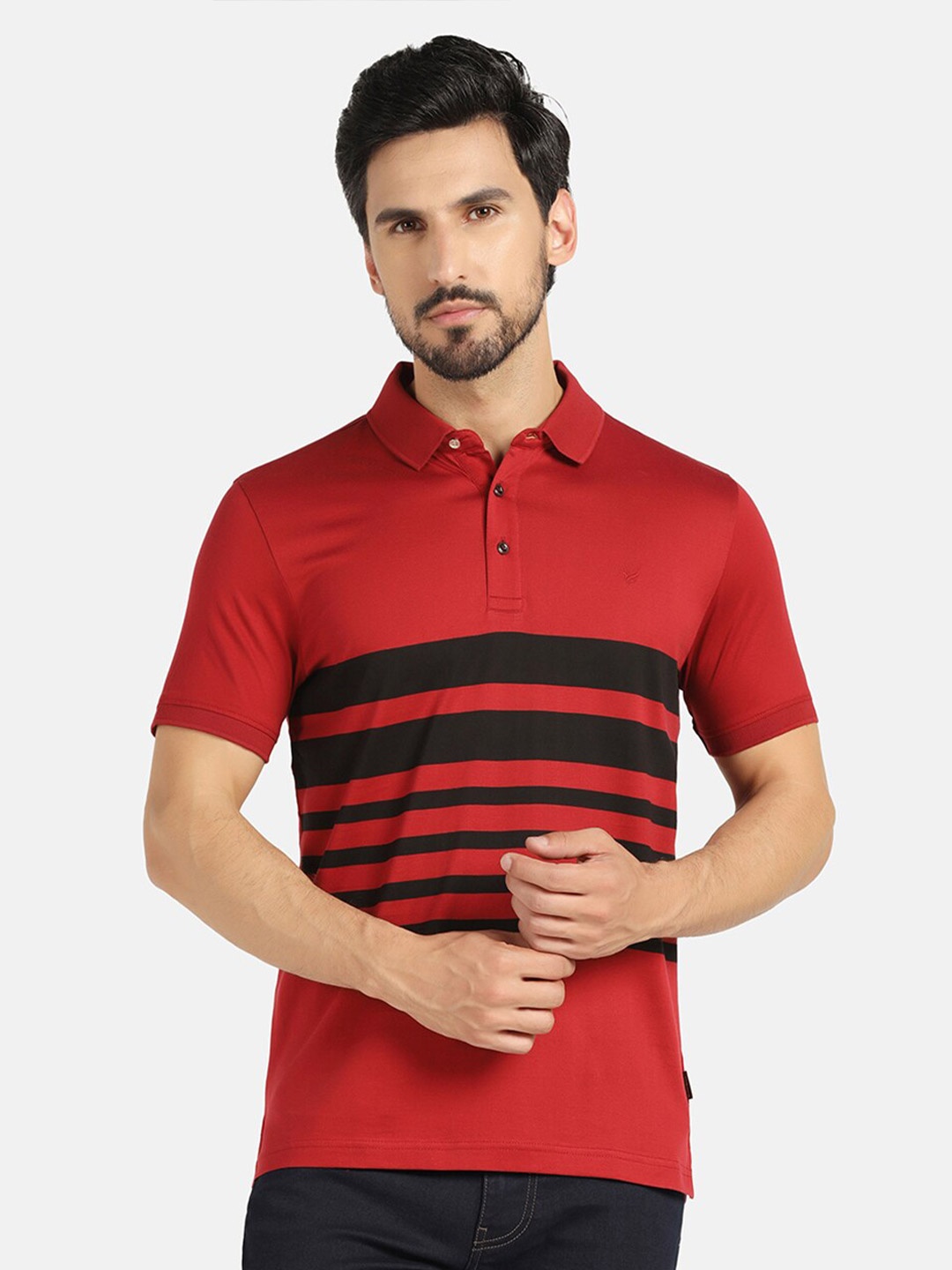 Blackberrys Striped Polo Collar Slim Fit Cotton T-shirt, Red