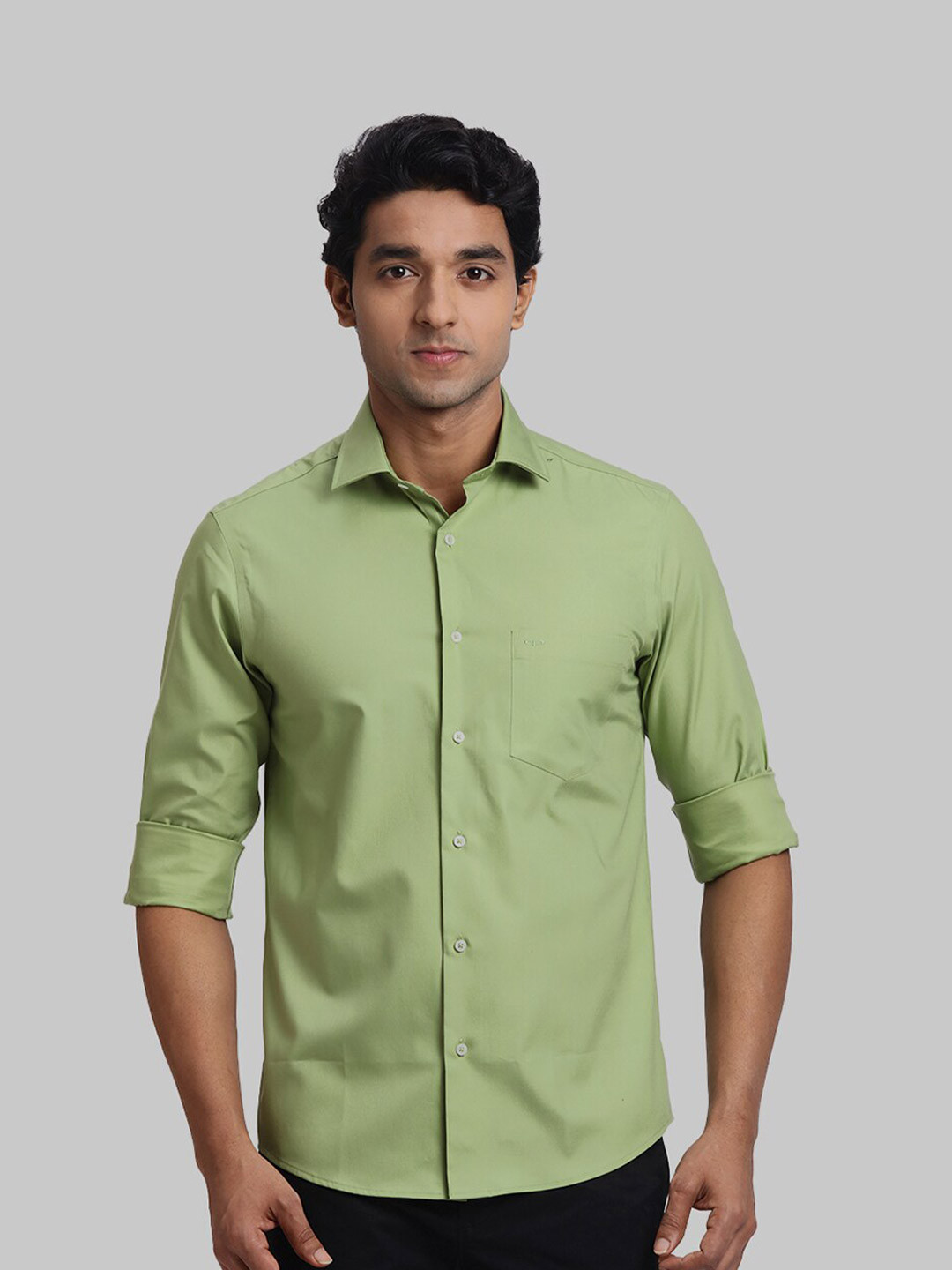 

ColorPlus Regular Fit Cotton Casual Shirt, Green