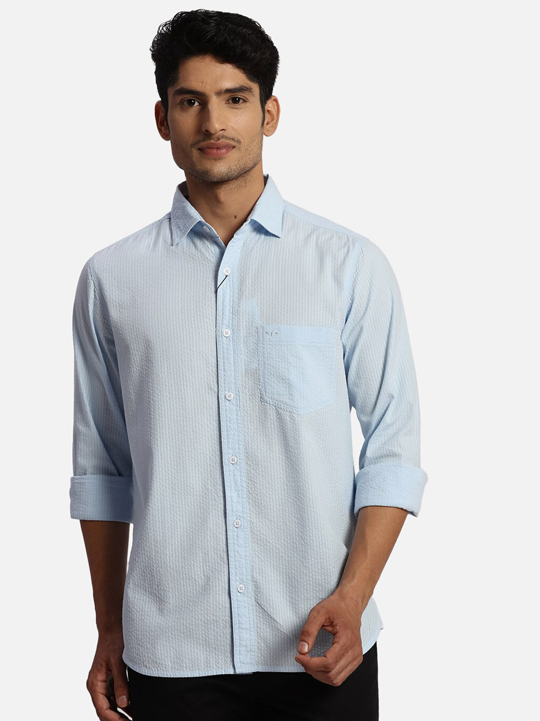 

ColorPlus Spread Collar Cotton Casual Shirt, Blue