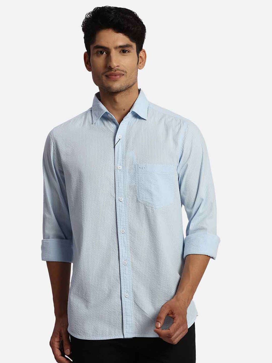 

ColorPlus Textured Self Design Spread Collar Cotton Casual Shirt, Blue