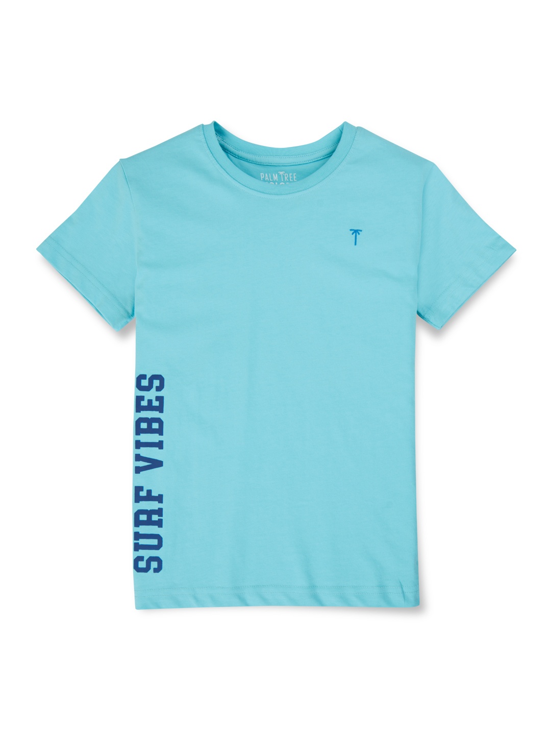 

Palm Tree Boys Typography Printed Cotton T-shirt, Blue