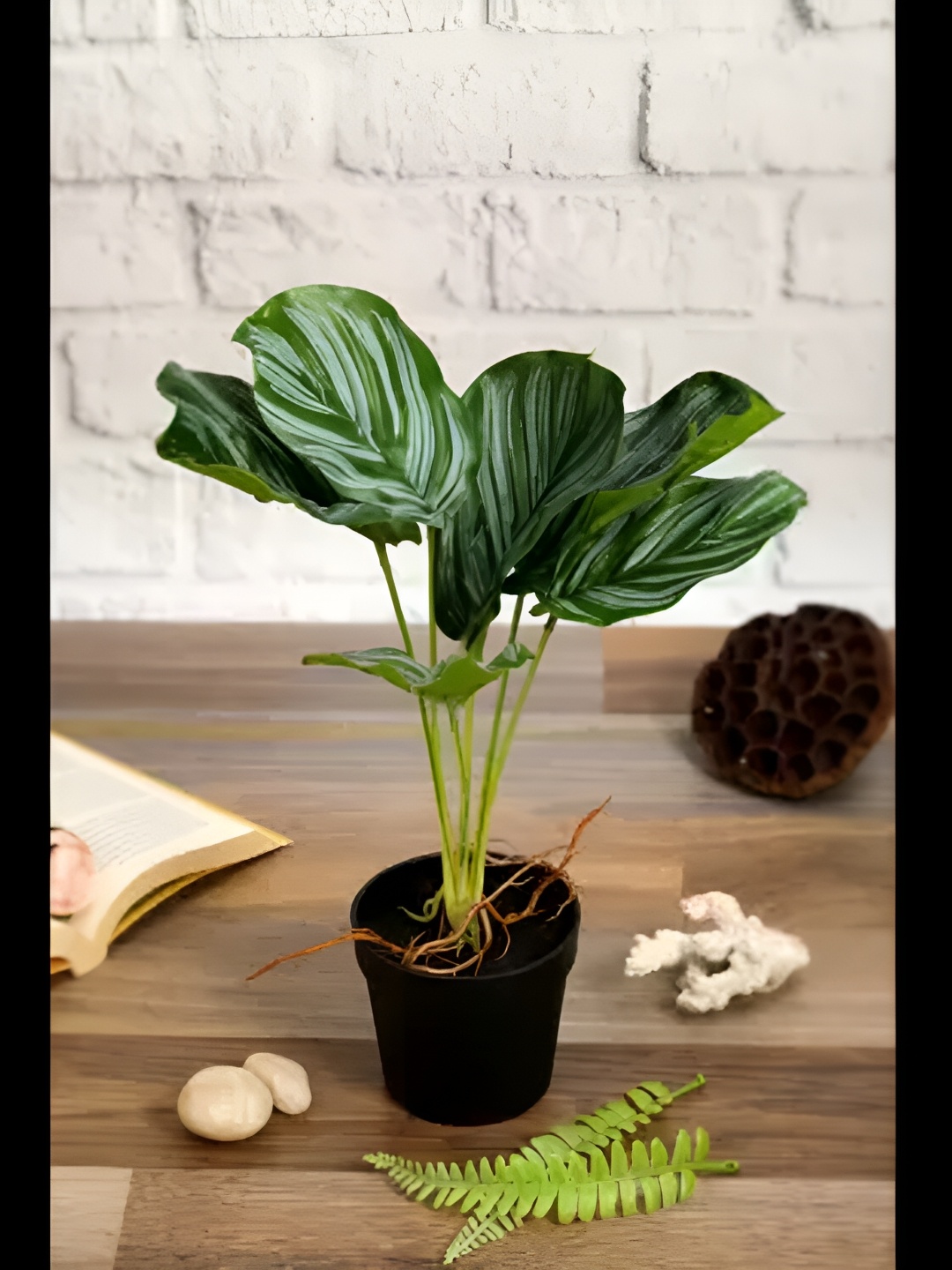 

Satyam Kraft Green Succulent Artificial Plant With Pot