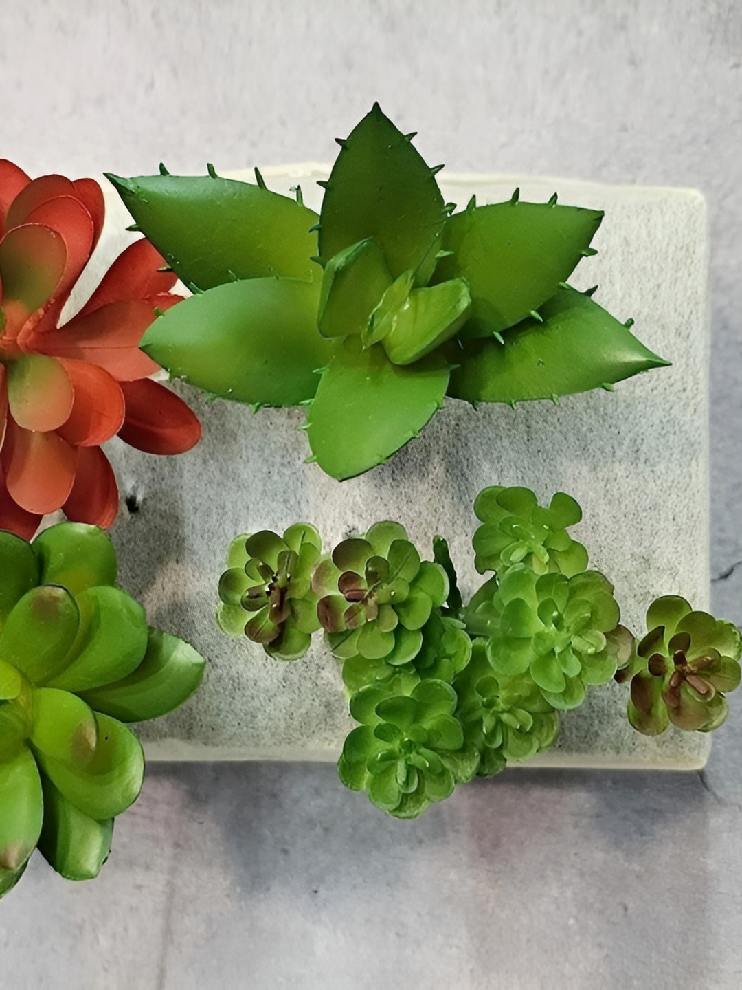 

Satyam Kraft Green 6 Pieces Artificial Plant