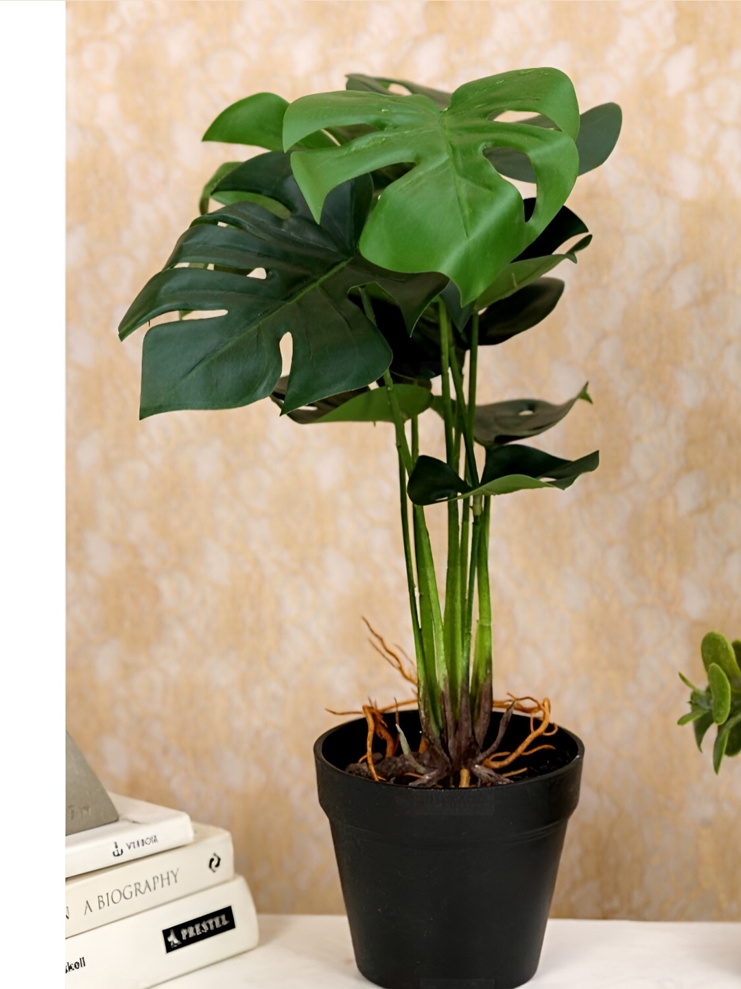 

Satyam Kraft Green Monstera Artificial Plant With Pot