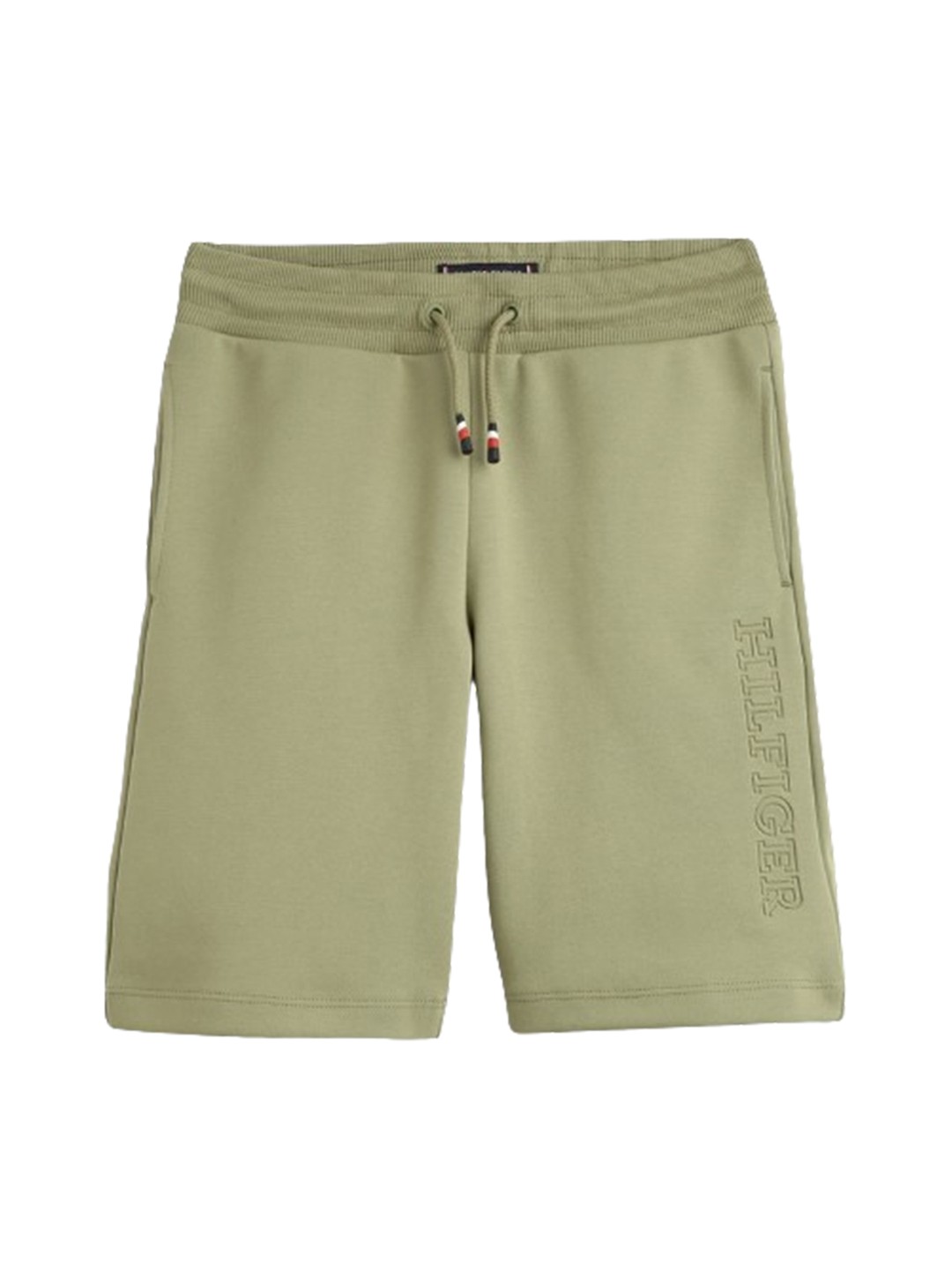

Tommy Hilfiger Boys Mid Rise Regular Shorts, Green