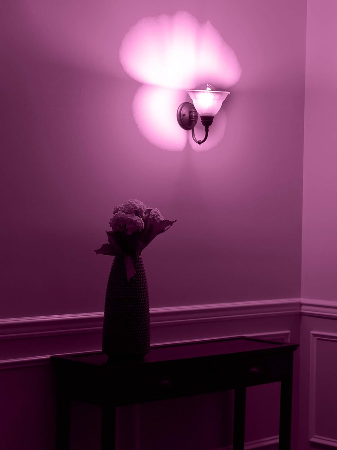 

ZOREZA White 2 Pieces 4 Watts LED Ceiling Lamps