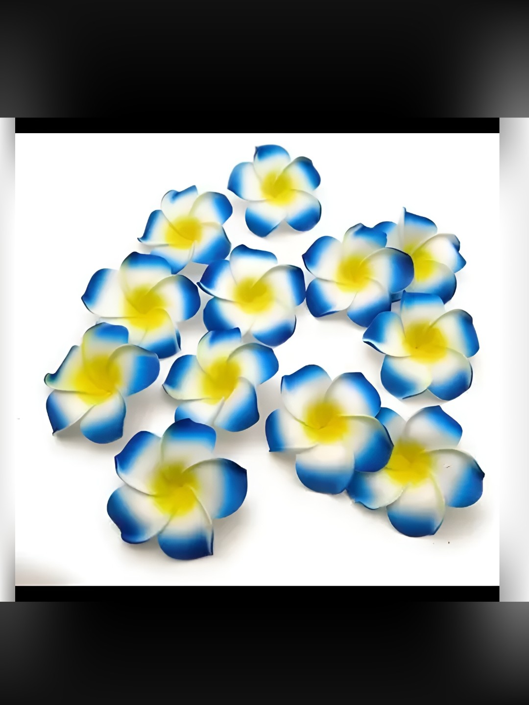 

Satyam Kraft Blue & White 24 Pieces Artificial Flower