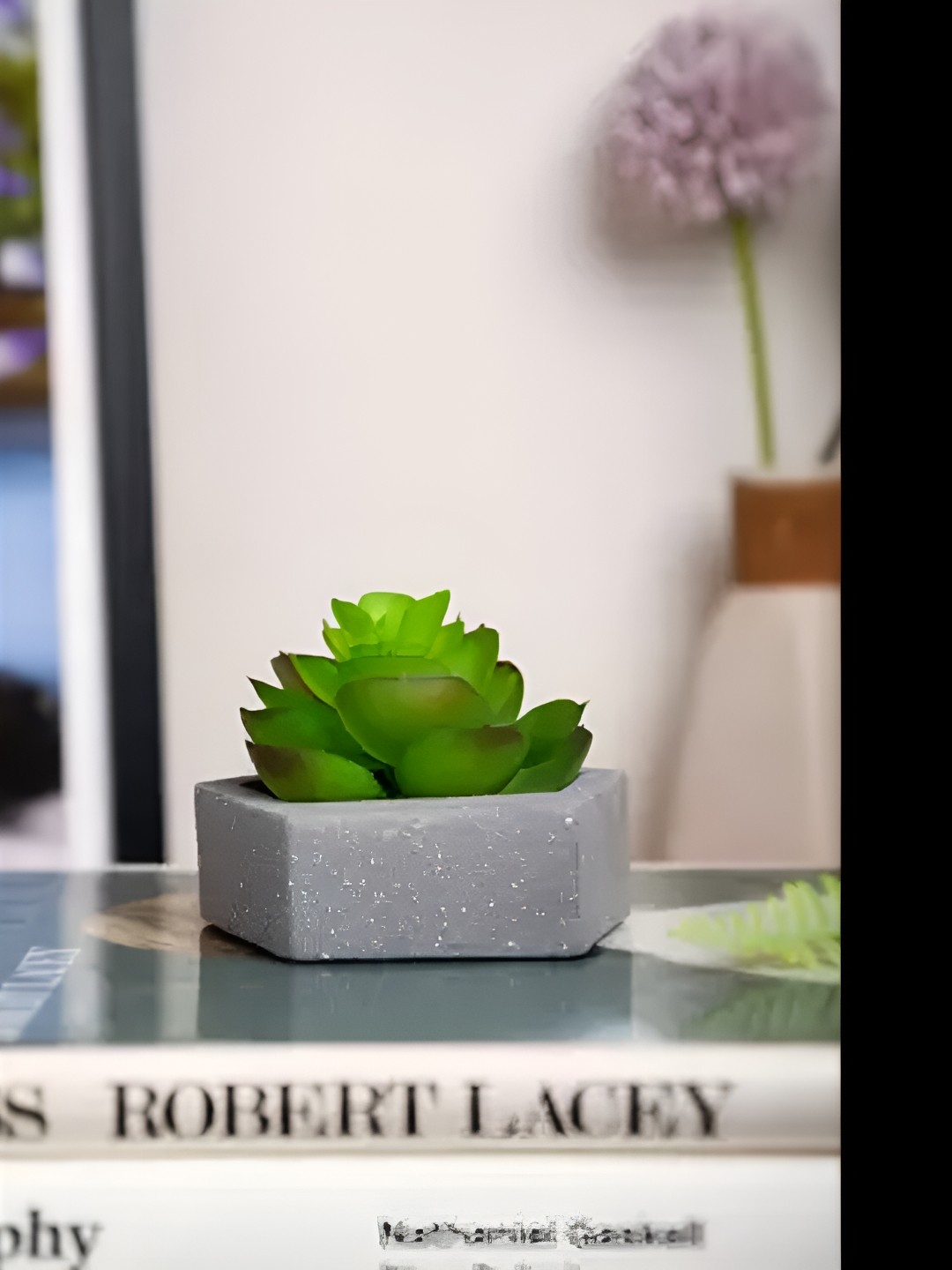 

Satyam Kraft 1 Pcs Artificial Succulent Plant With Pot, Green