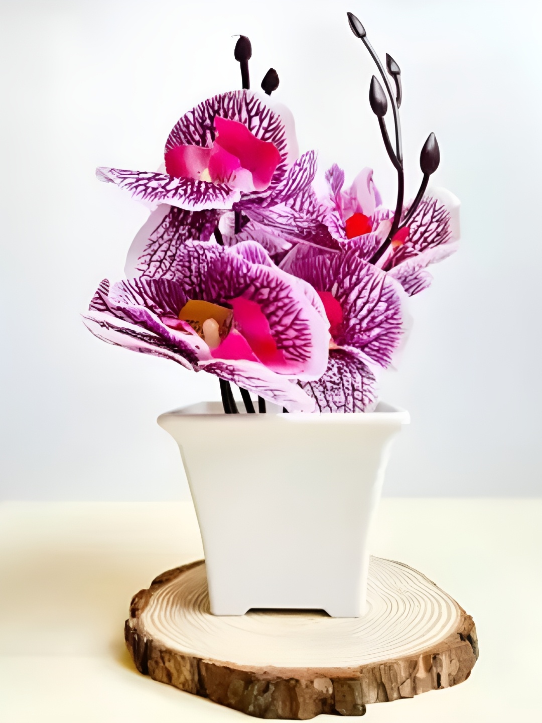 

Satyam Kraft Purple & White Orchid Artificial Plant With Pot