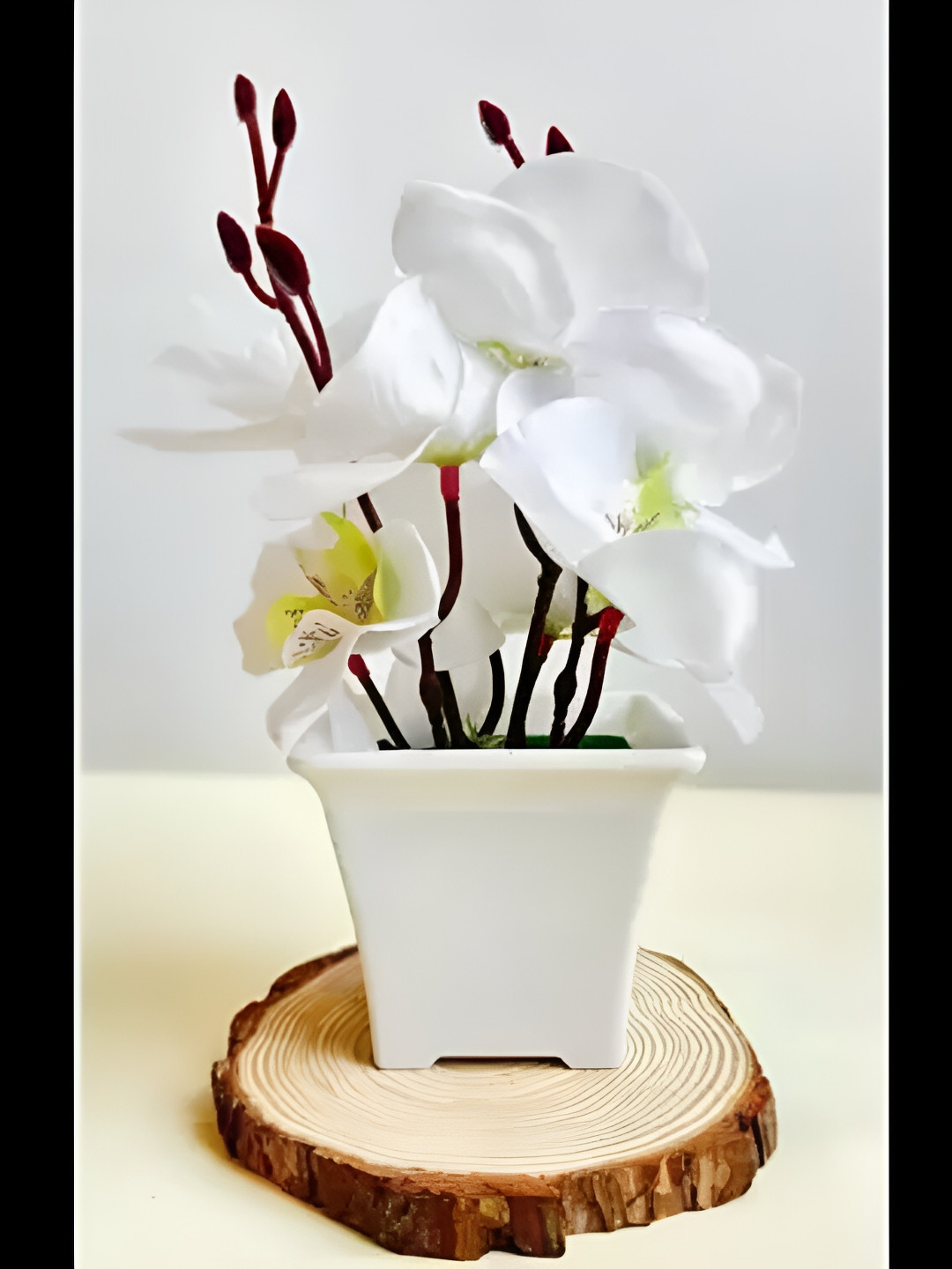 

Satyam Kraft White 1 Pcs Orchid Artificial Plant With Pot