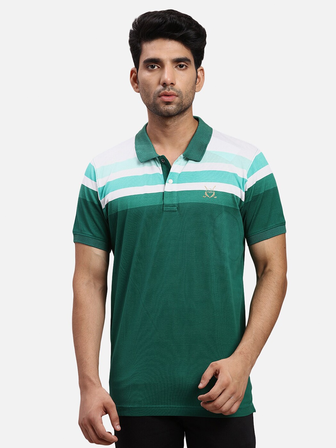 

ColorPlus Striped Polo Collar Short Sleeves Regular Fit Cotton T-shirt, Green
