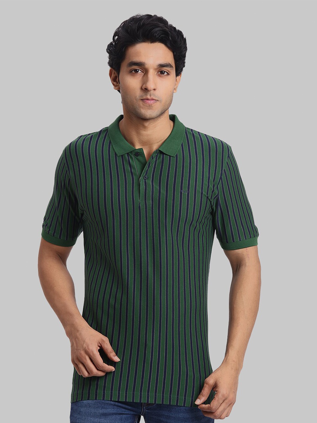 

ColorPlus Striped Polo Collar Regular Fit Cotton Casual T-shirt, Green