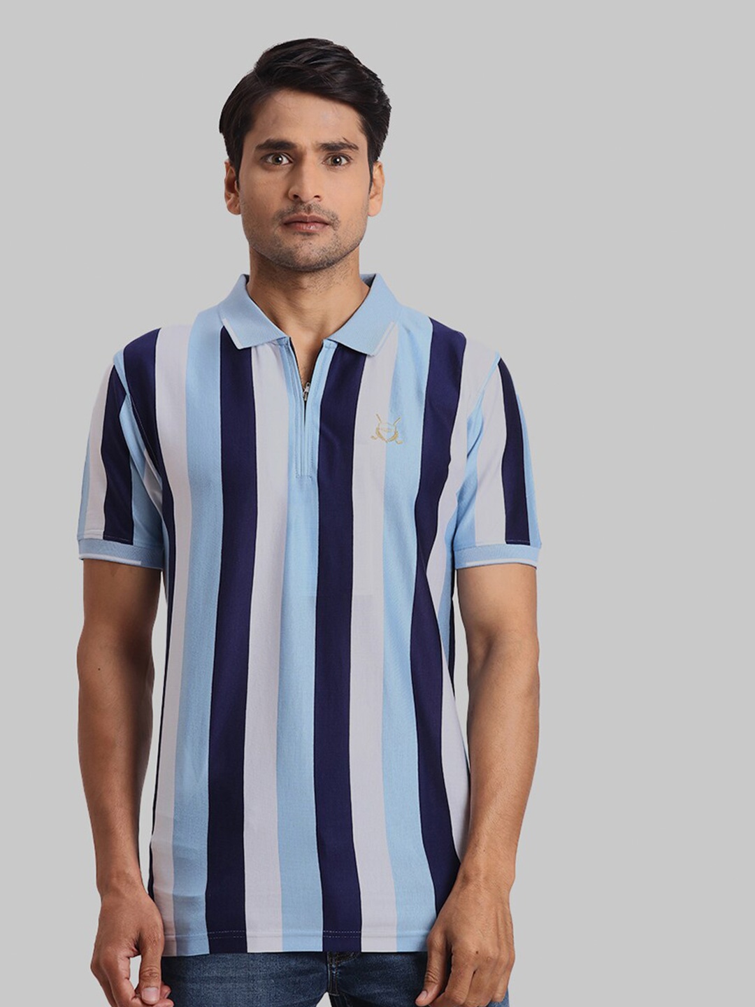 

ColorPlus Striped Polo Collar Regular Fit Cotton Casual T-shirt, Blue