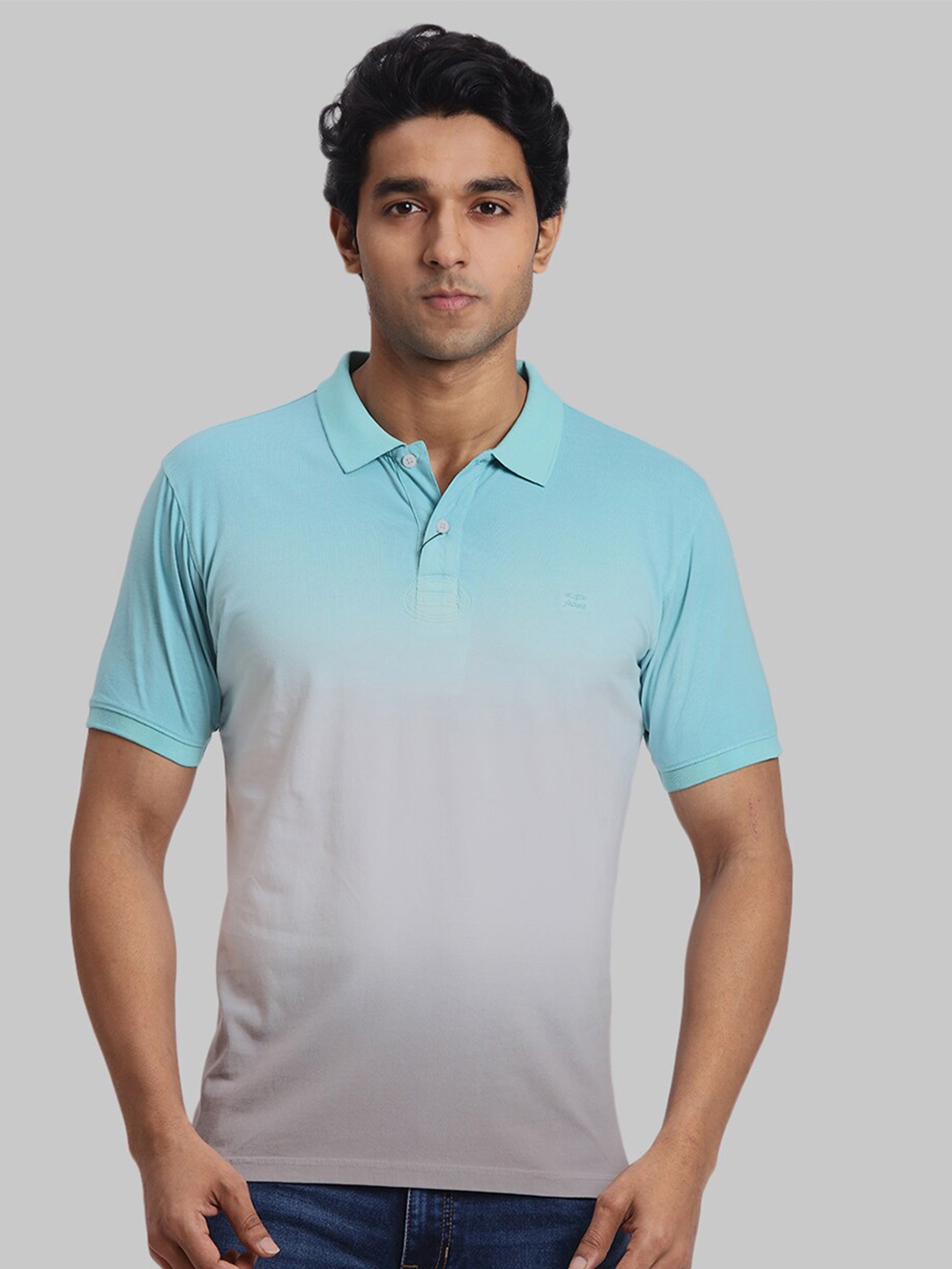 

ColorPlus Polo Collar Short Sleeves Regular Fit Cotton Casual T-shirt, Green
