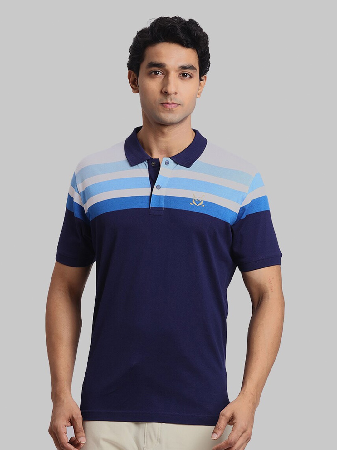 

ColorPlus Colourblocked Cotton Polo Collar Short Sleeves Pockets T-shirt, Blue