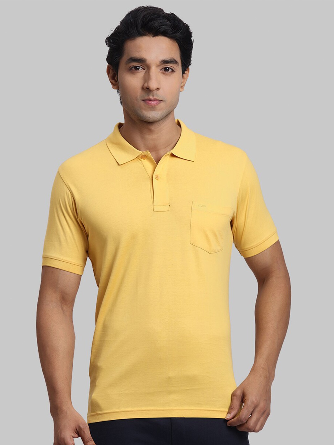 

ColorPlus Polo Collar Regular Fit Cotton Casual T-shirt, Yellow