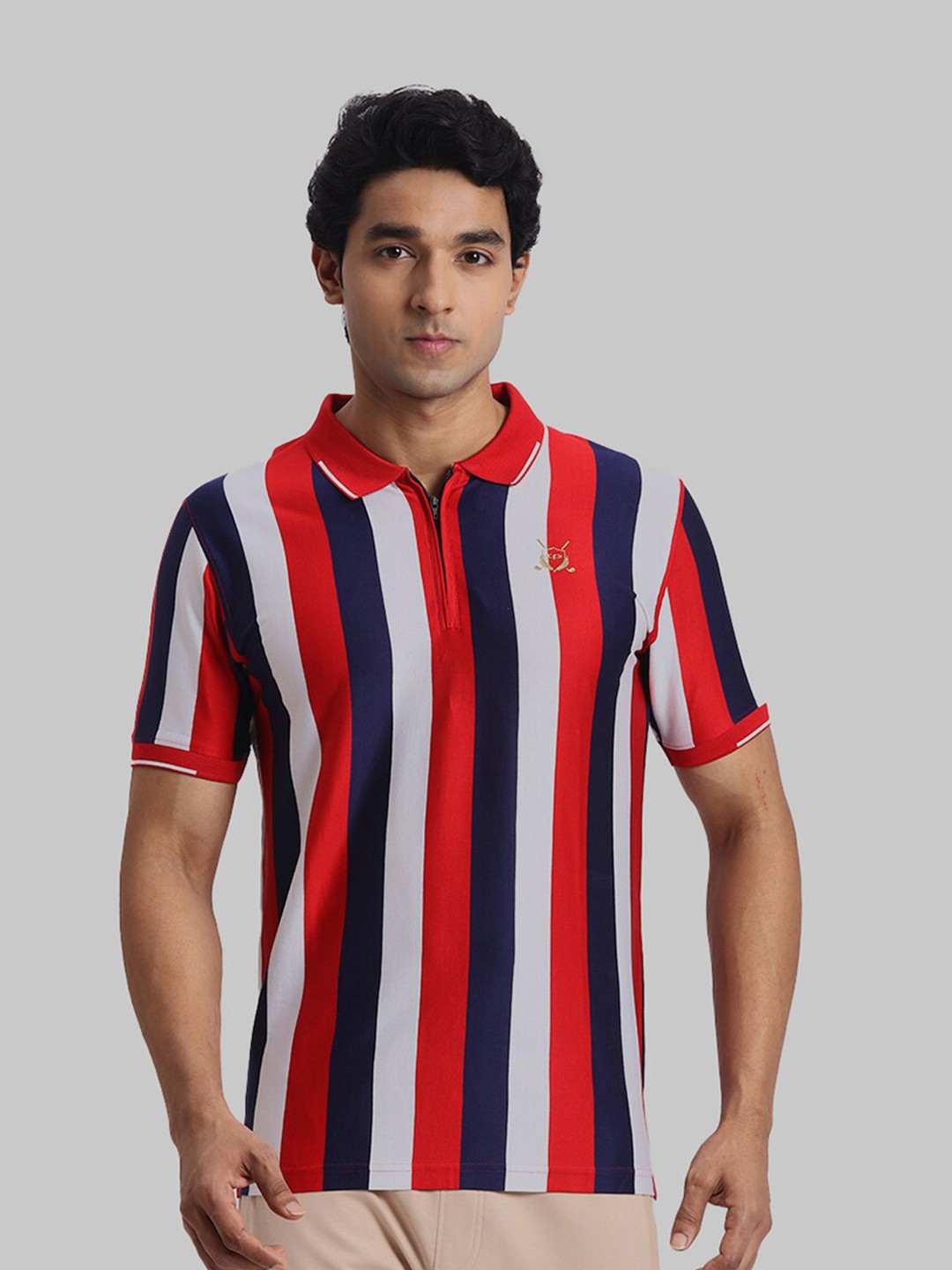 

ColorPlus Striped Short Sleeves Regular Fit Cotton T-shirt, Red