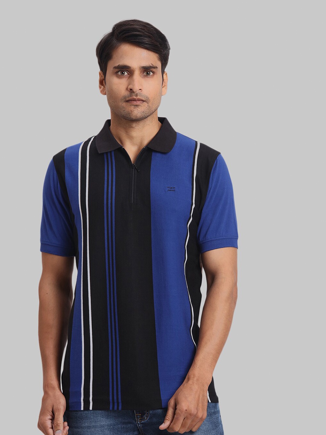 

ColorPlus Striped Polo Collar Short Sleeves Regular Fit Cotton T-shirt, Blue