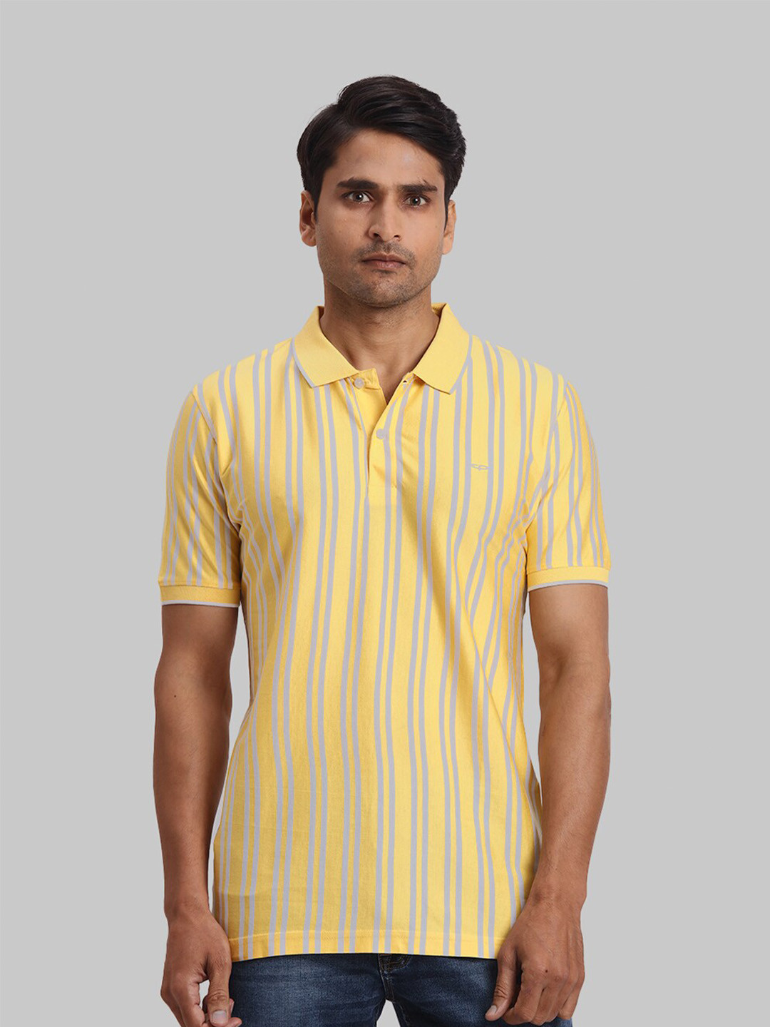 

ColorPlus Striped Printed Polo Collar Regular Fit Cotton Casual T-shirt, Yellow