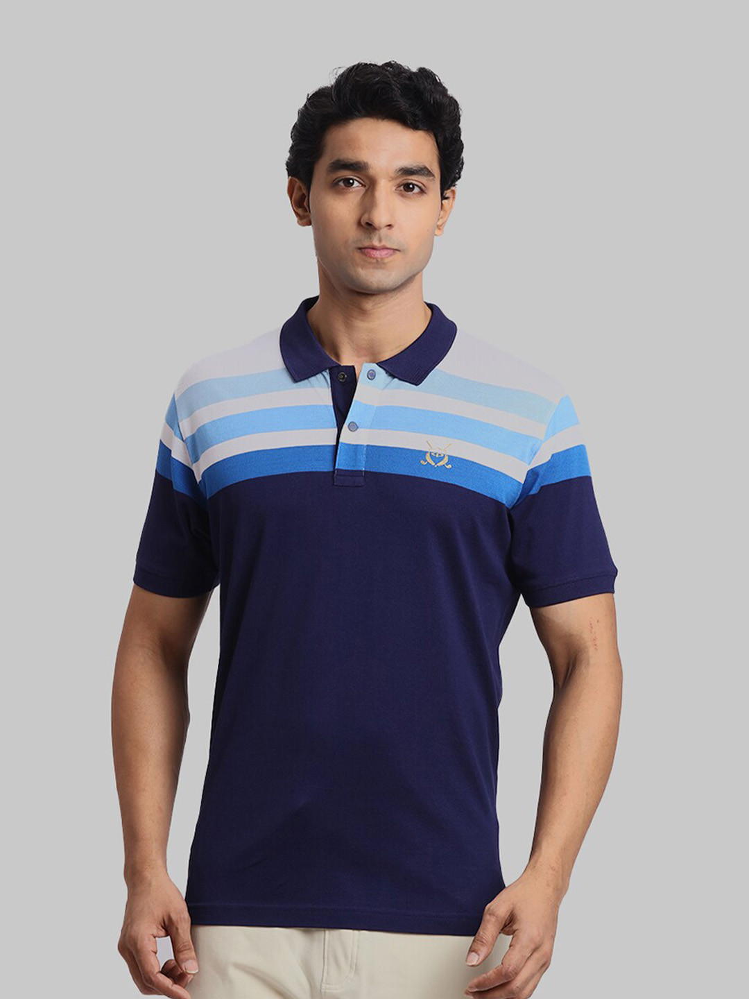

ColorPlus Colourblocked Polo Collar Regular Fit Cotton Casual T-shirt, Blue