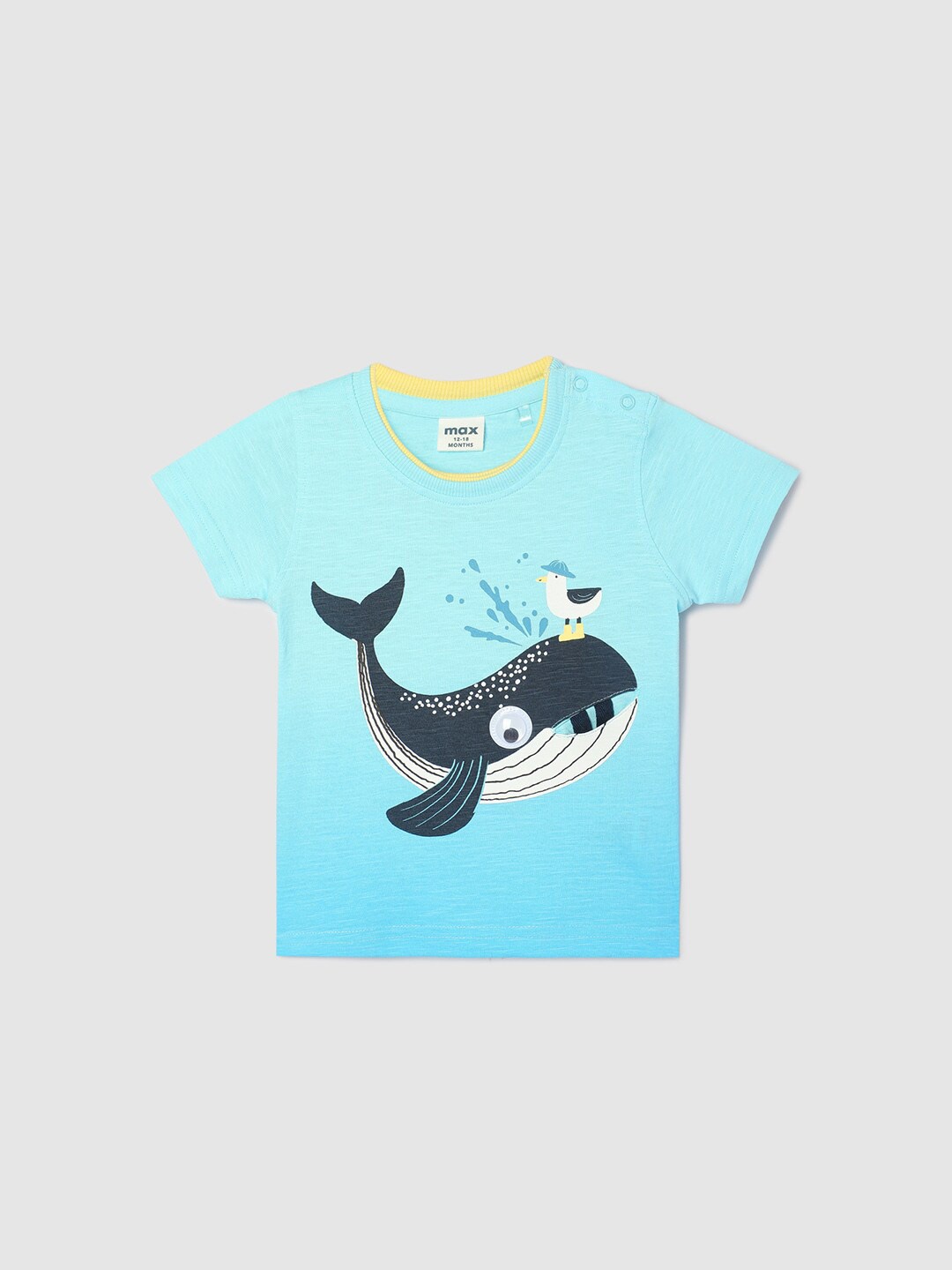 

max Boys Graphic Printed Round Neck Cotton Casual T-shirt, Blue