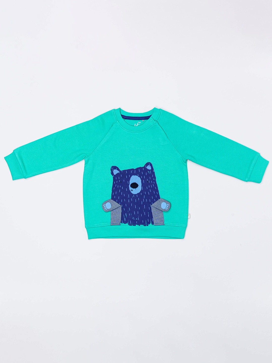 

H By Hamleys Boys Graphic Printed Ribbed Pullover Sweatshirt, Green