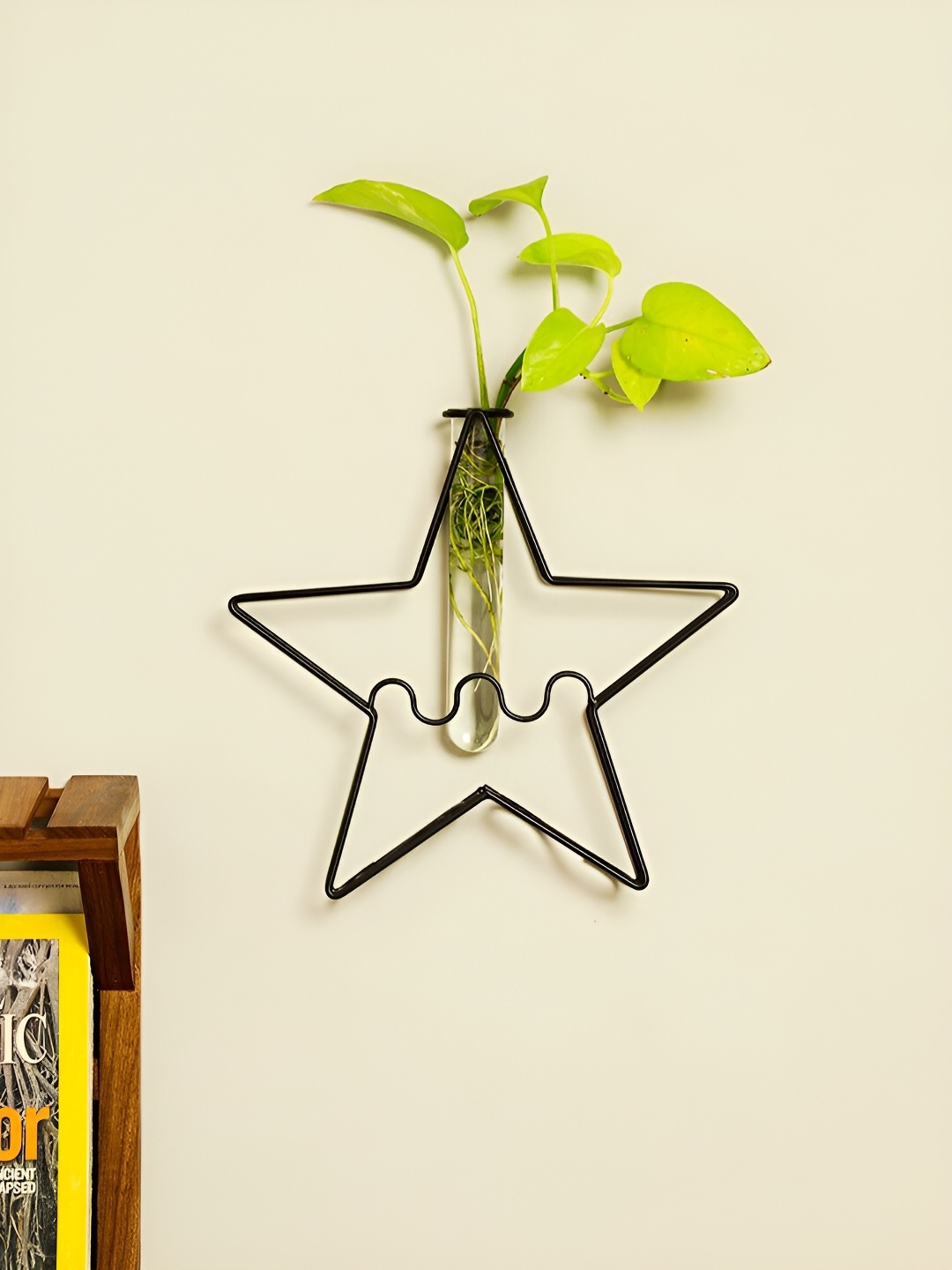 

VarEesha Black & Transparent Star Shaped Metal Planter With Tube