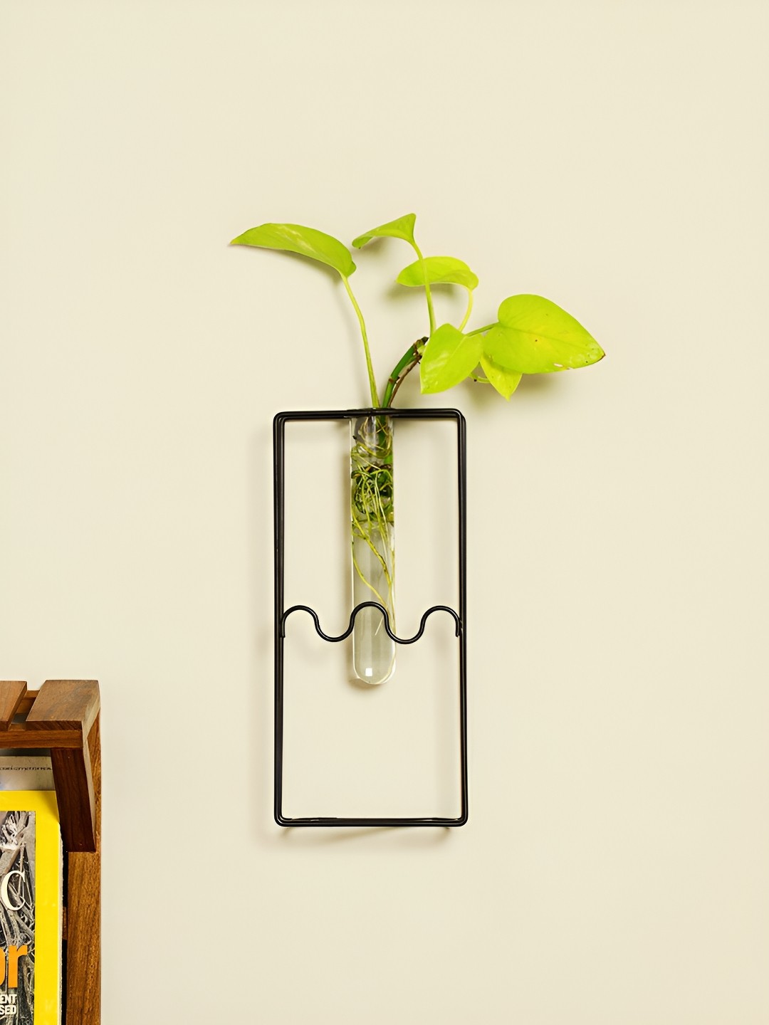 

VarEesha Black & Transparent Metal Planter With Tube