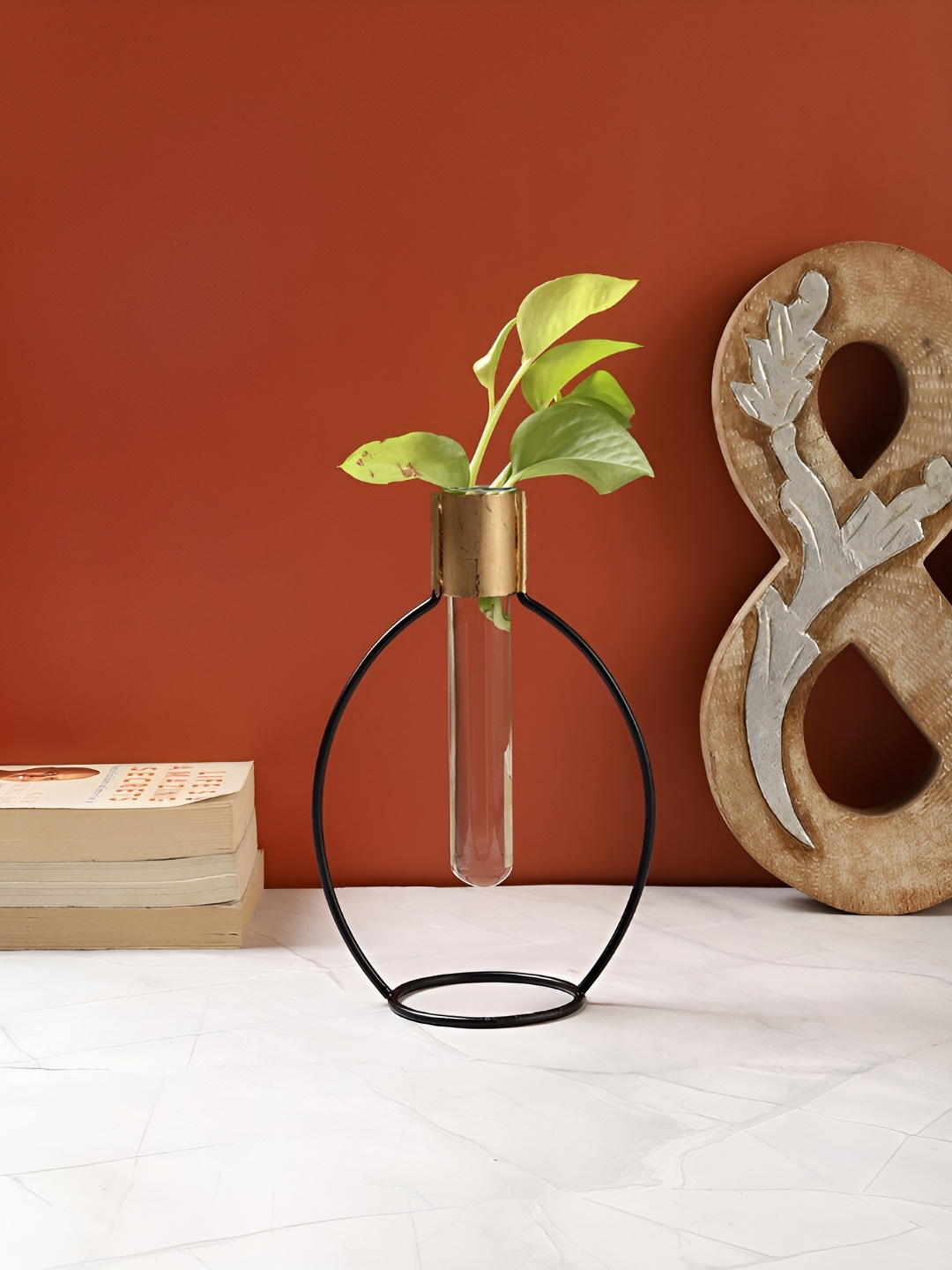 

VarEesha Black & Transparent Metal Planter With Tube