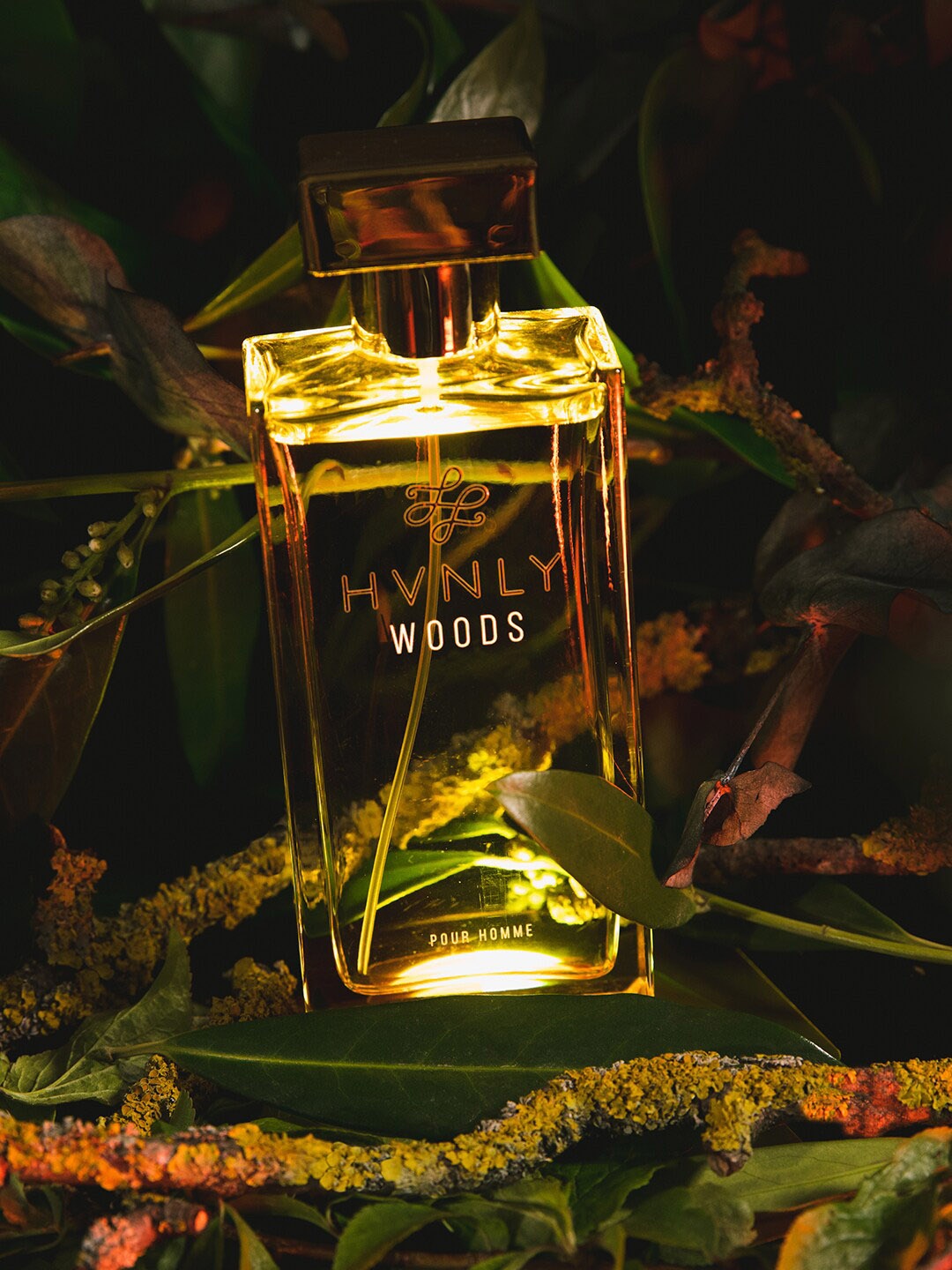 

HVNLY Men Woods Long Lasting Eau De Parfum - 100 ml, Brown