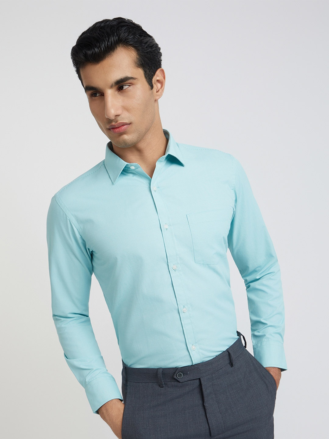 

Park Avenue Slim Fit Micro Checks Opaque Formal Shirt, Green