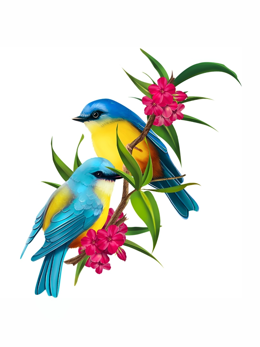 

Aquire Turquoise Blue & Yellow Birds Printed Self-Adhesive Waterproof Wall Sticker