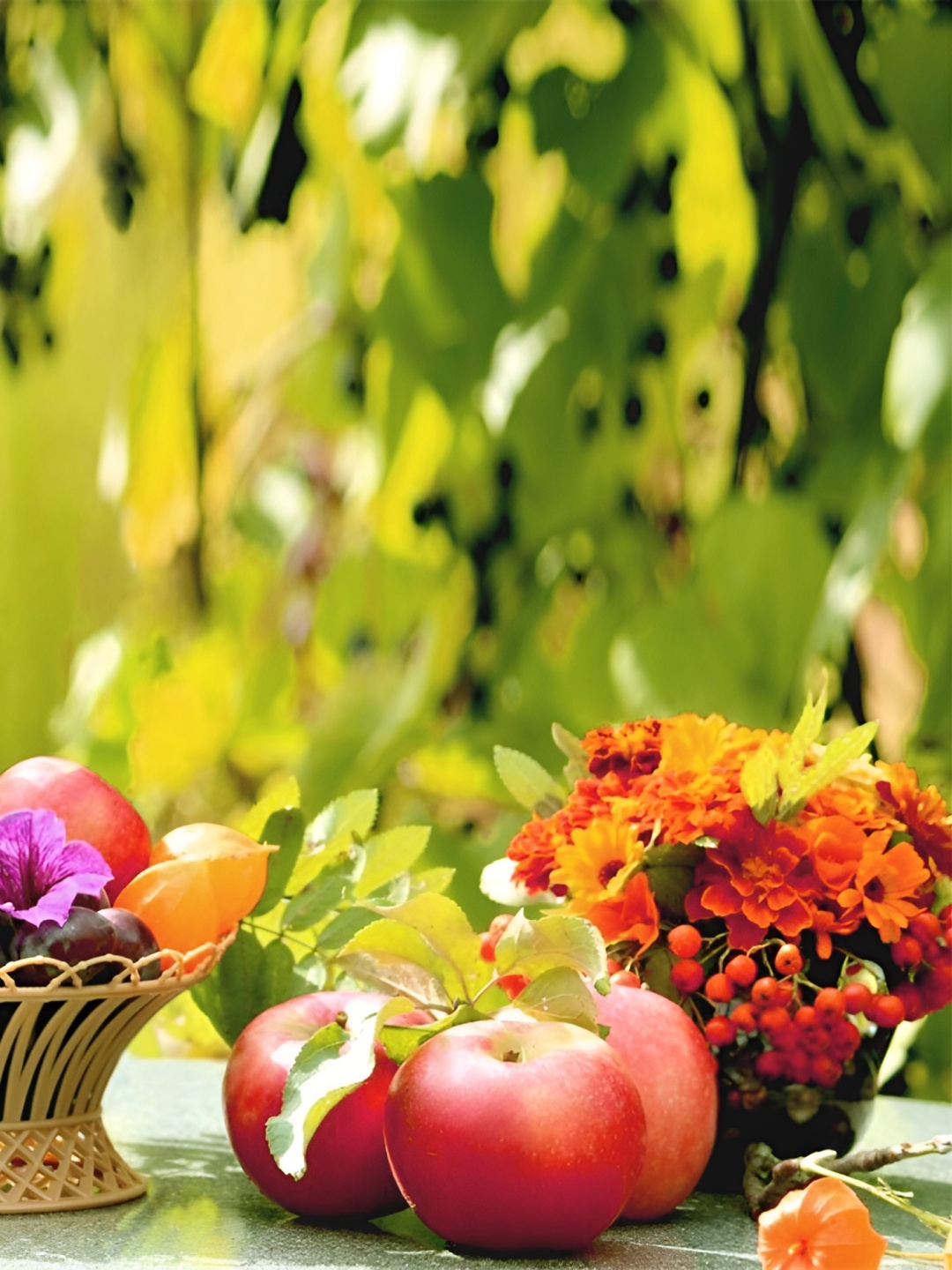 

Aquire Red & Green Fruits Printed Self-Adhesive Waterproof Wall Sticker