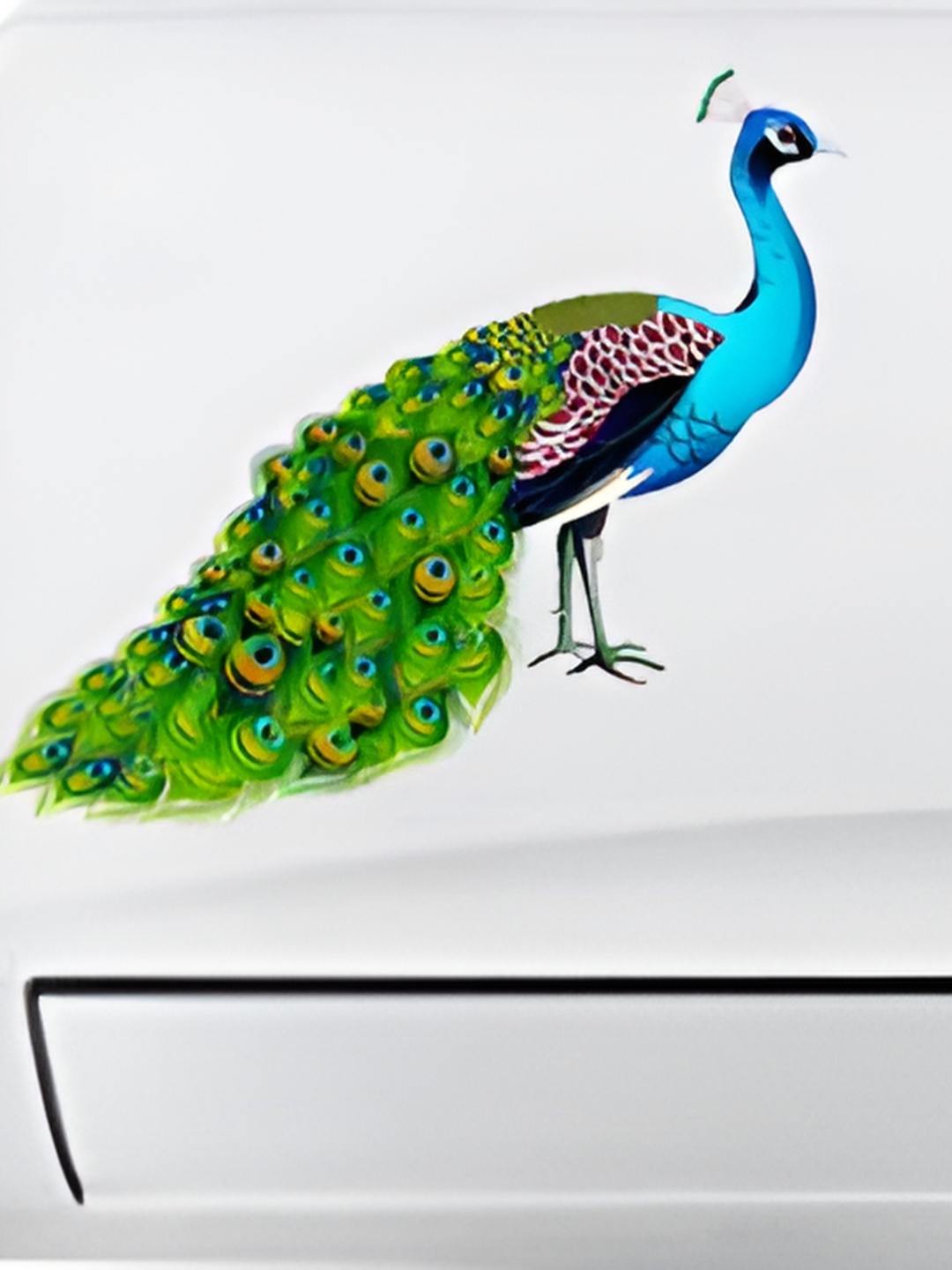 

Aquire Blue & Green Peacock Printed Self Adhesive Waterproof HD AC Sticker