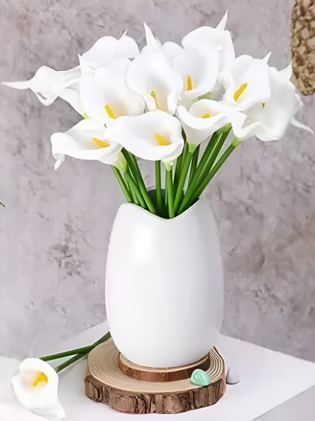 

Satyam Kraft White and Green 10 Pieces Lily Artificial Flower