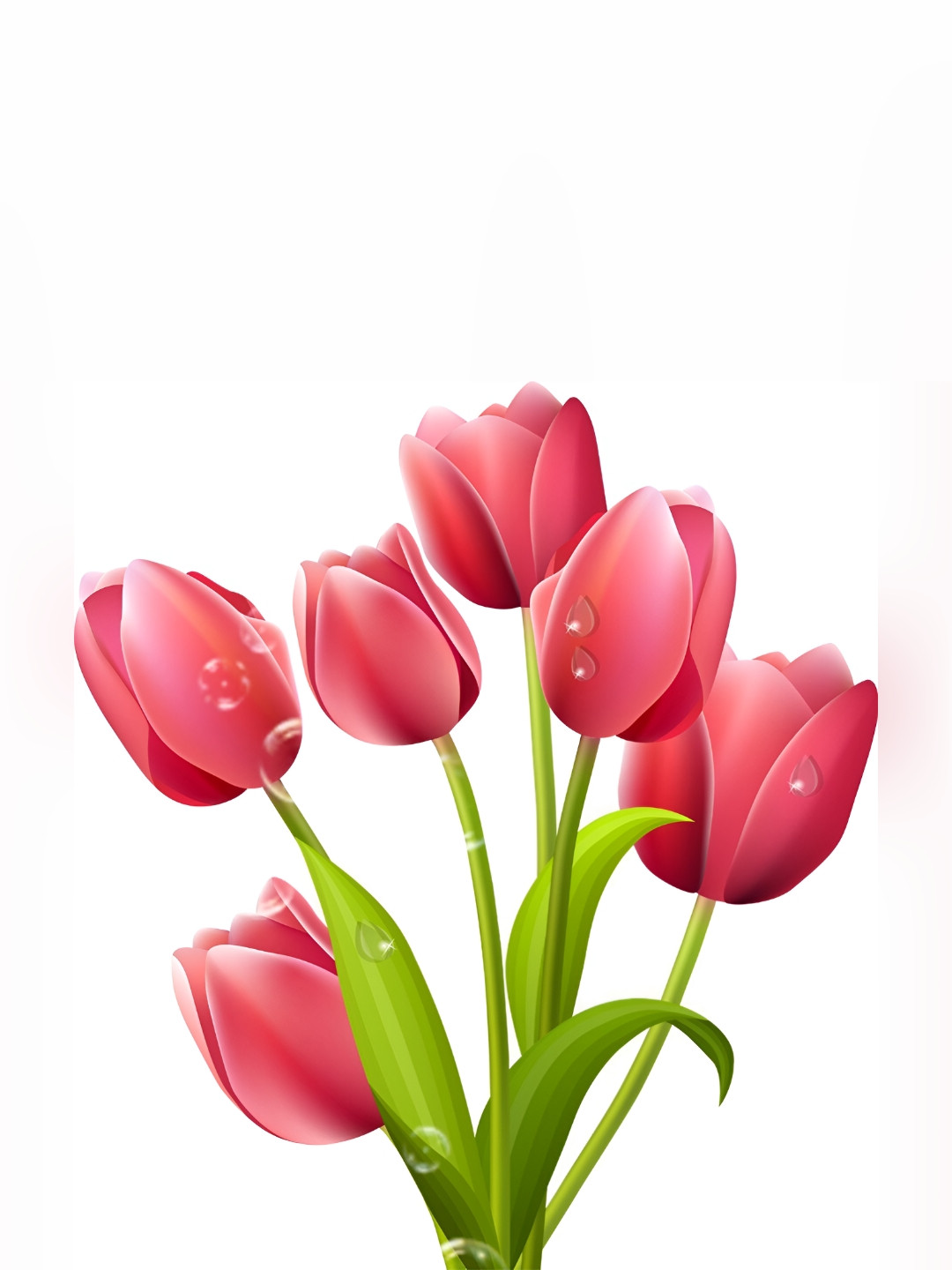 

Aquire Pink & Green Floral Printed Self Adhesive Wall Sticker