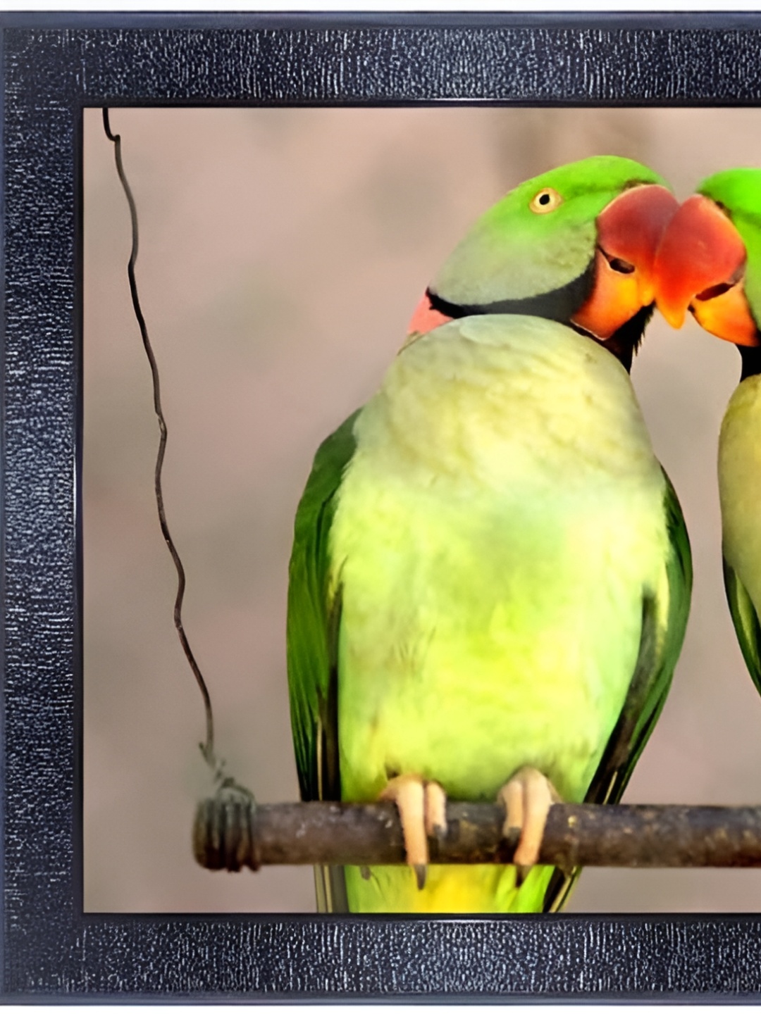 

PnF Black & Green Wood Birds and Animals Wall Paintings